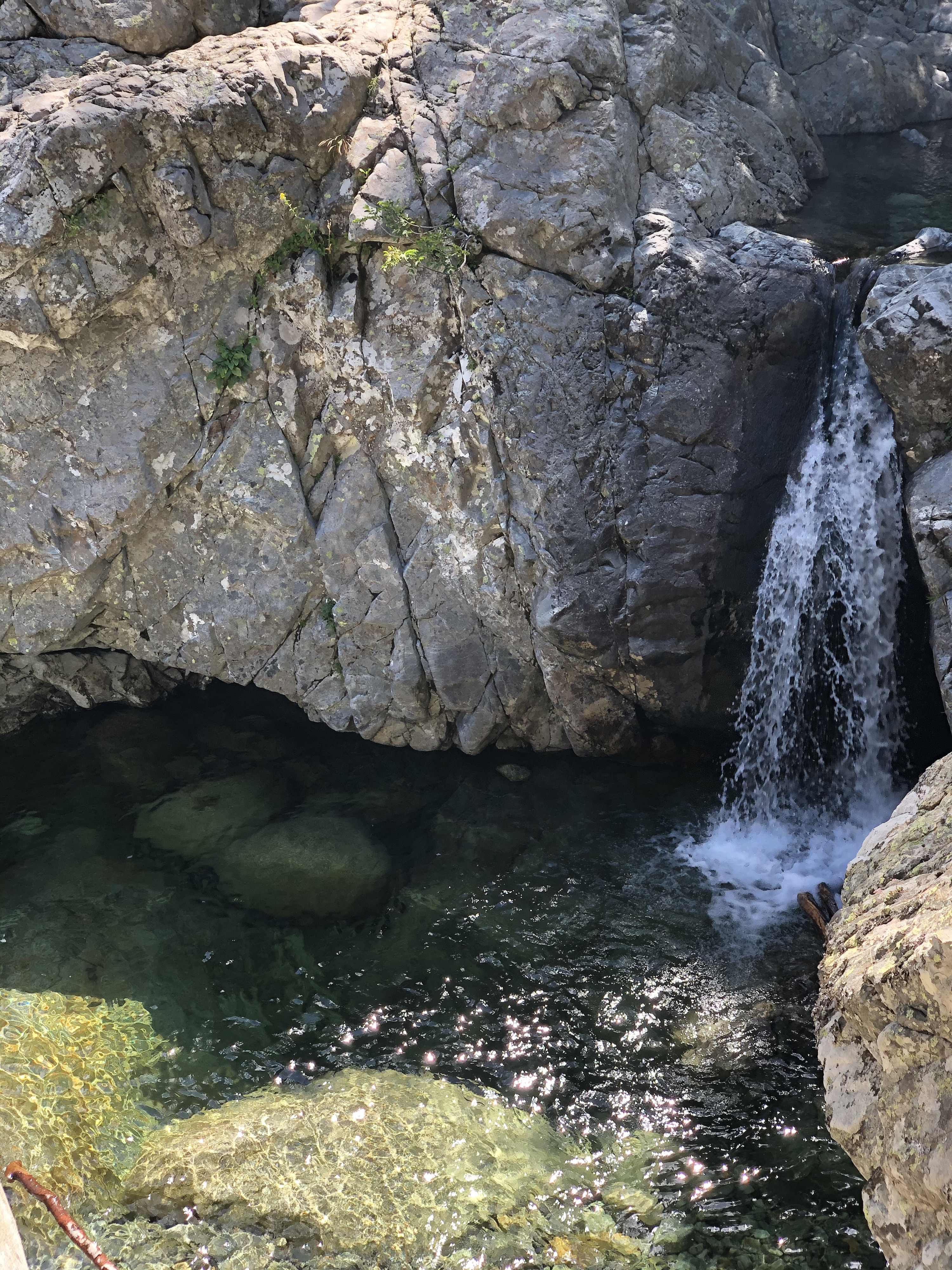 Picture France Corsica Cascade des Anglais 2020-07 43 - Around Cascade des Anglais