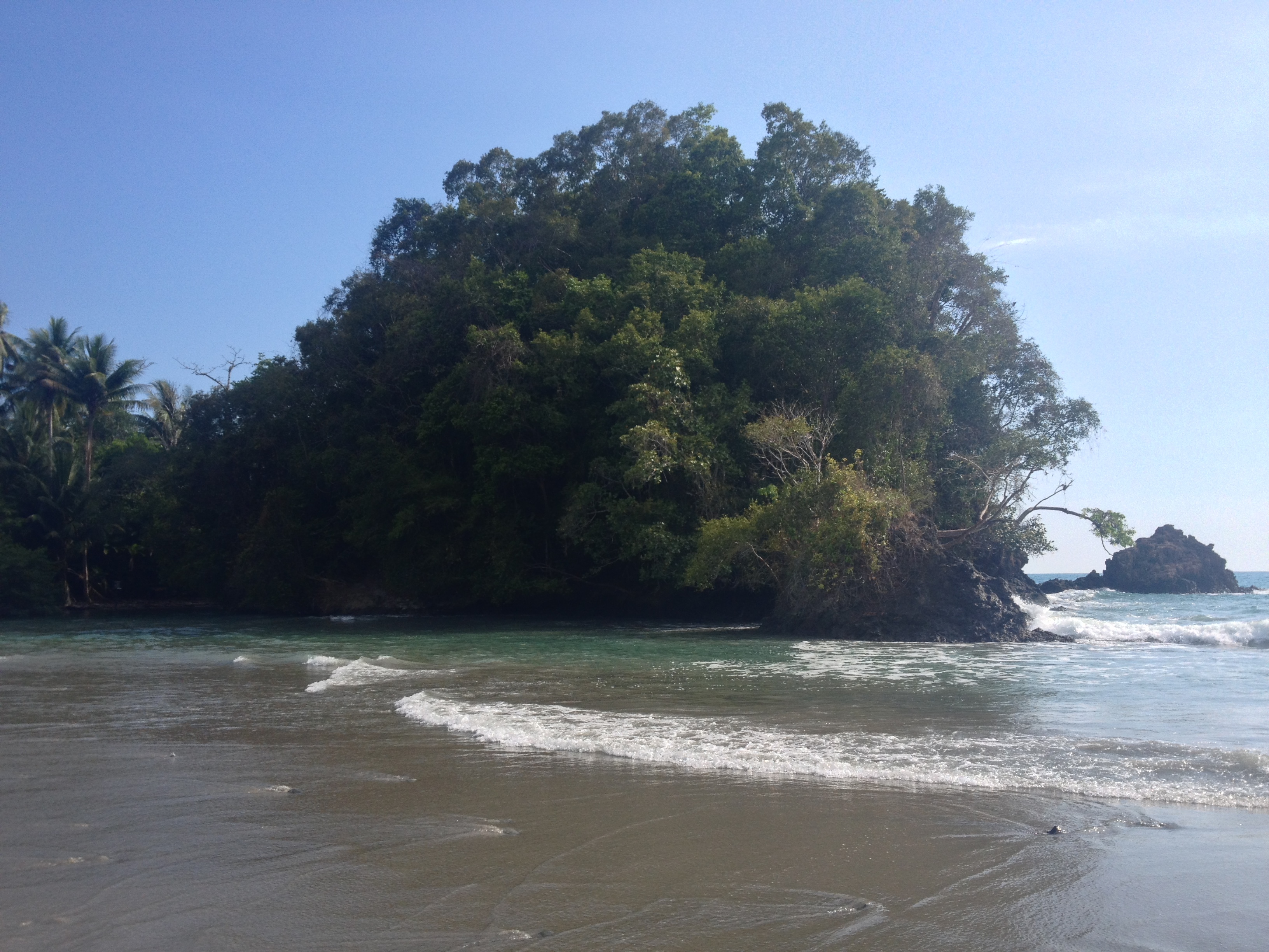 Picture Costa Rica Manuel Antonio 2015-03 255 - Discovery Manuel Antonio