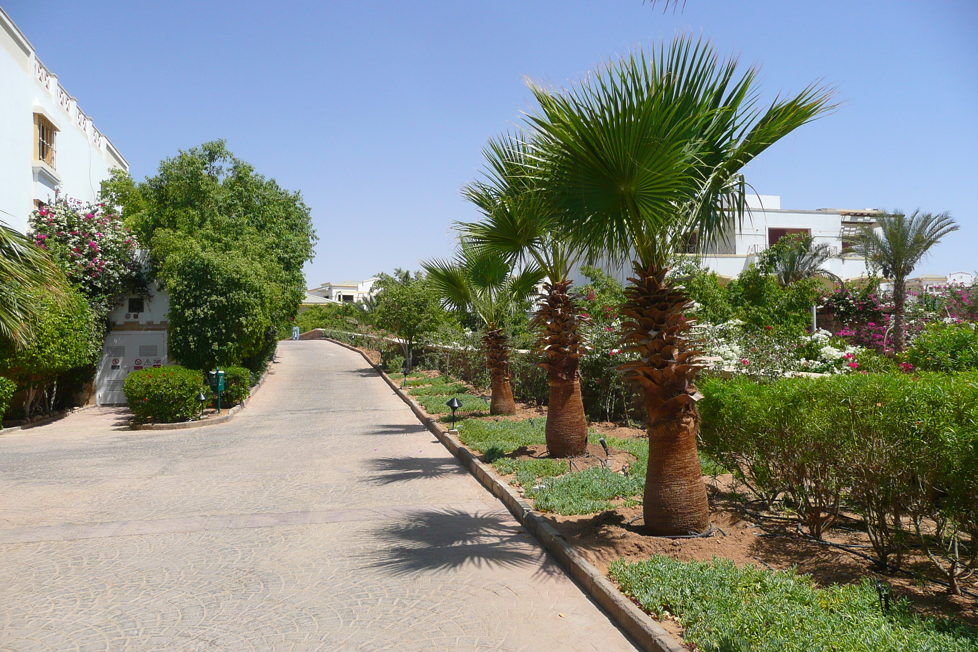 Picture Egypt Sharm el Sheikh Hyatt Hotel 2008-06 52 - Tour Hyatt Hotel