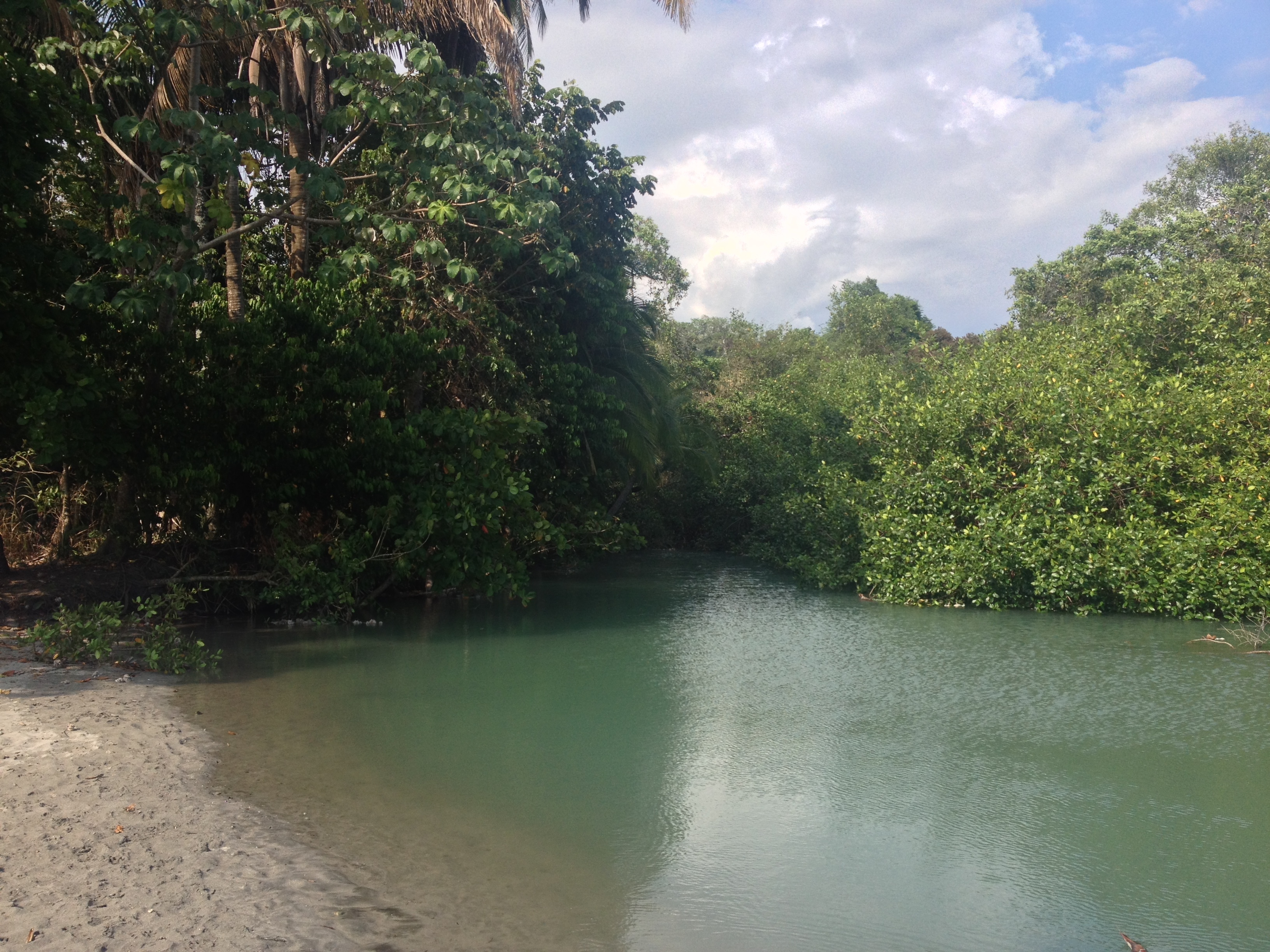 Picture Costa Rica Manuel Antonio 2015-03 394 - Discovery Manuel Antonio