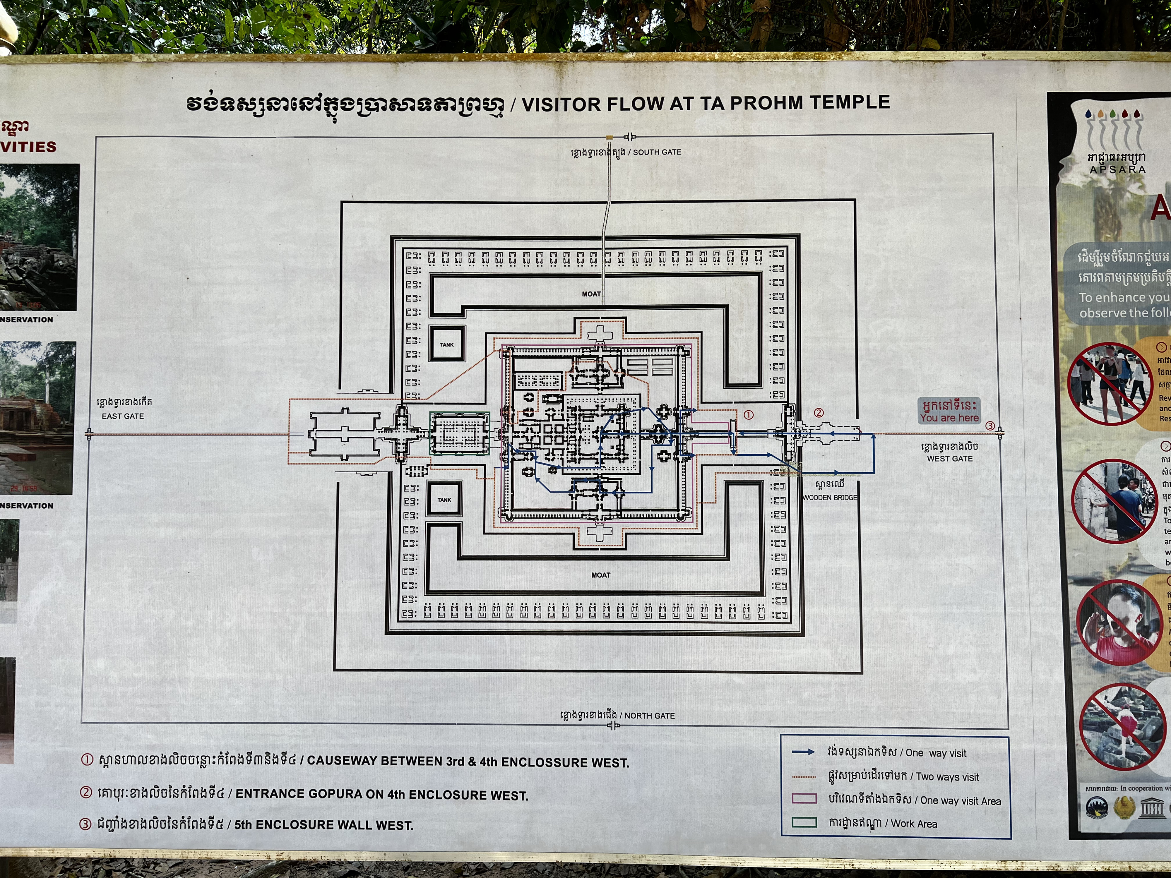 Picture Cambodia Siem Reap Ta Prohm 2023-01 131 - Discovery Ta Prohm