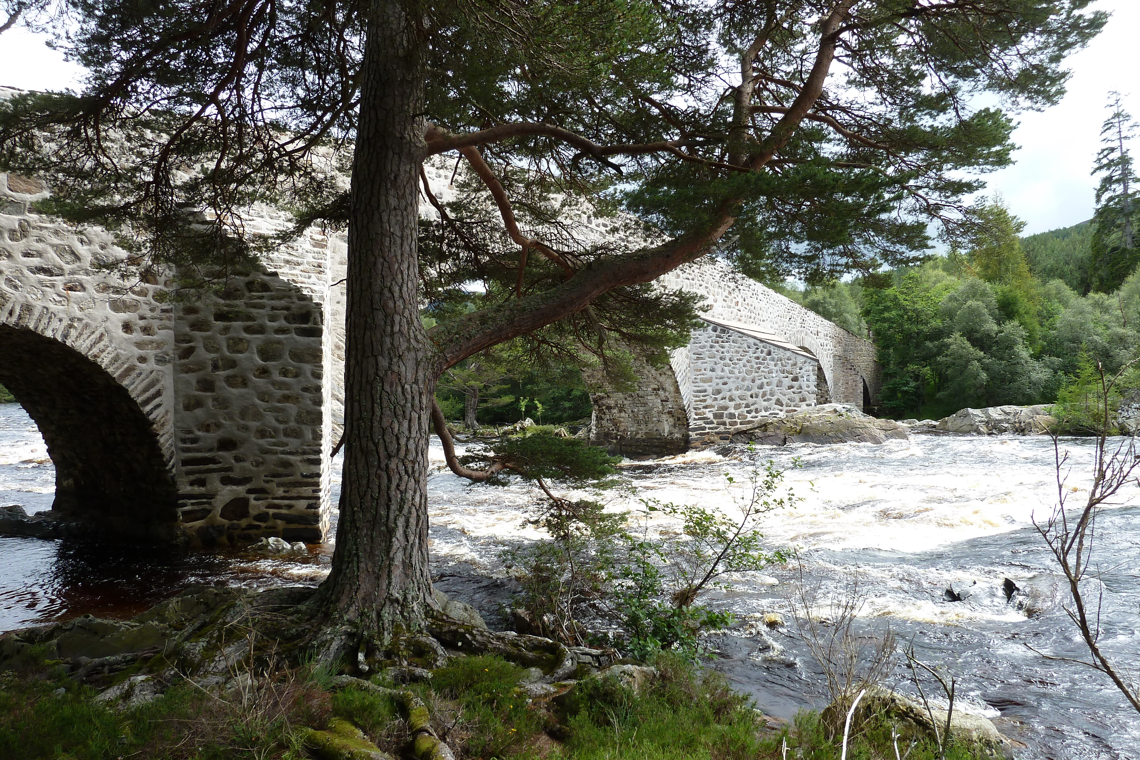 Picture United Kingdom Scotland Cairngorms National Park Invercauld Bridge 2011-07 12 - Tour Invercauld Bridge