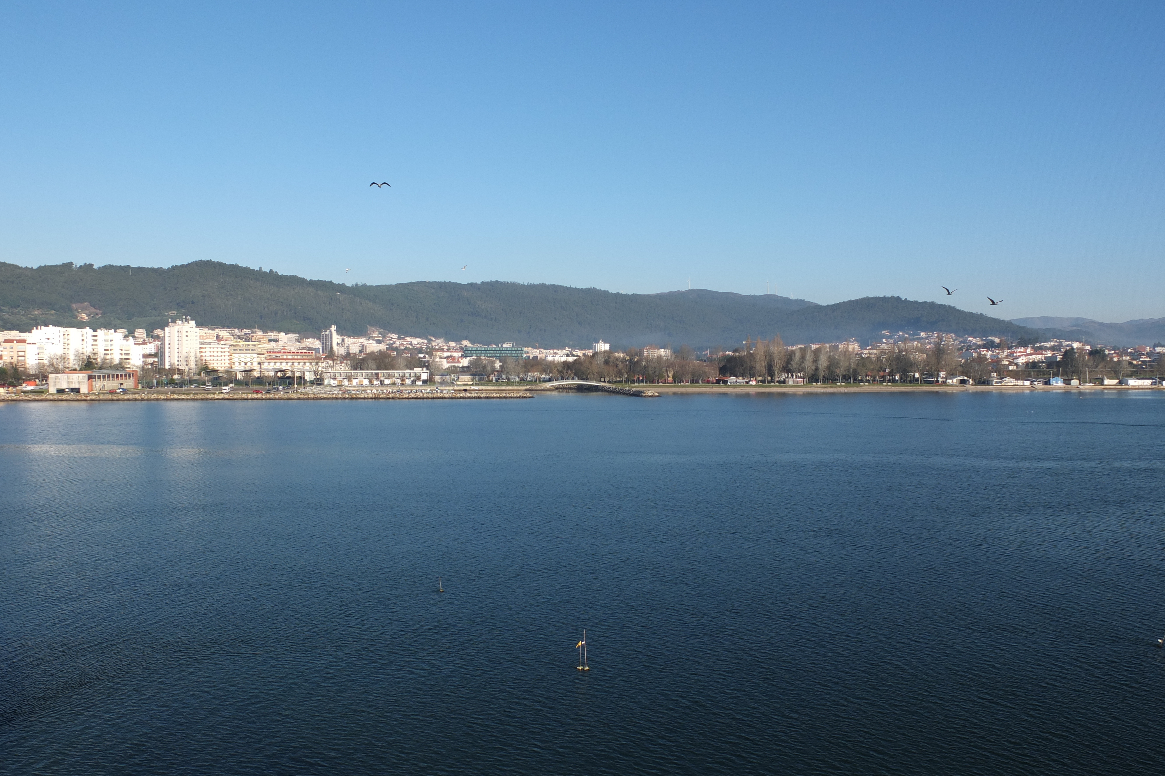 Picture Portugal Viana do Castello 2013-01 42 - Center Viana do Castello