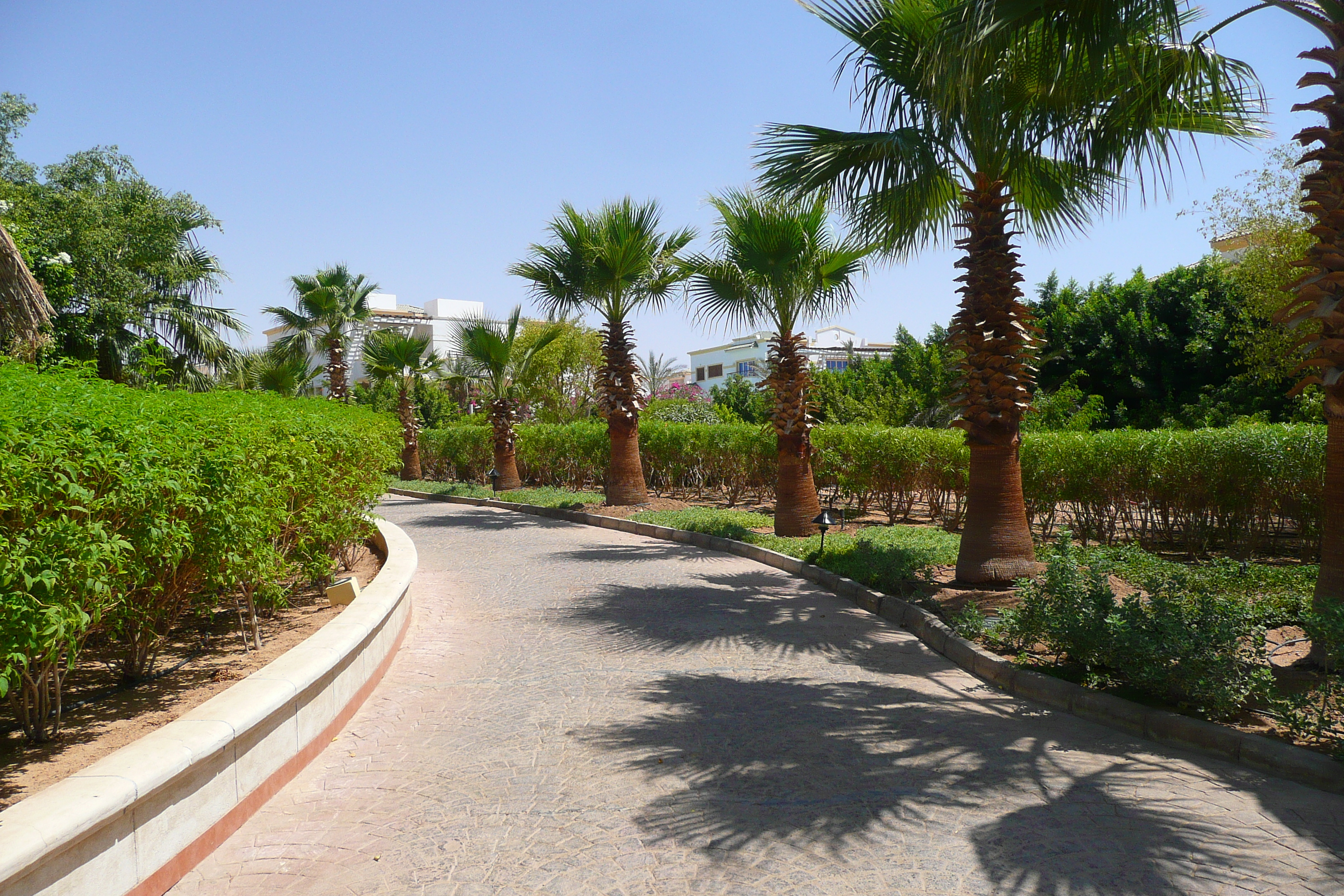 Picture Egypt Sharm el Sheikh Hyatt Hotel 2008-06 142 - Around Hyatt Hotel