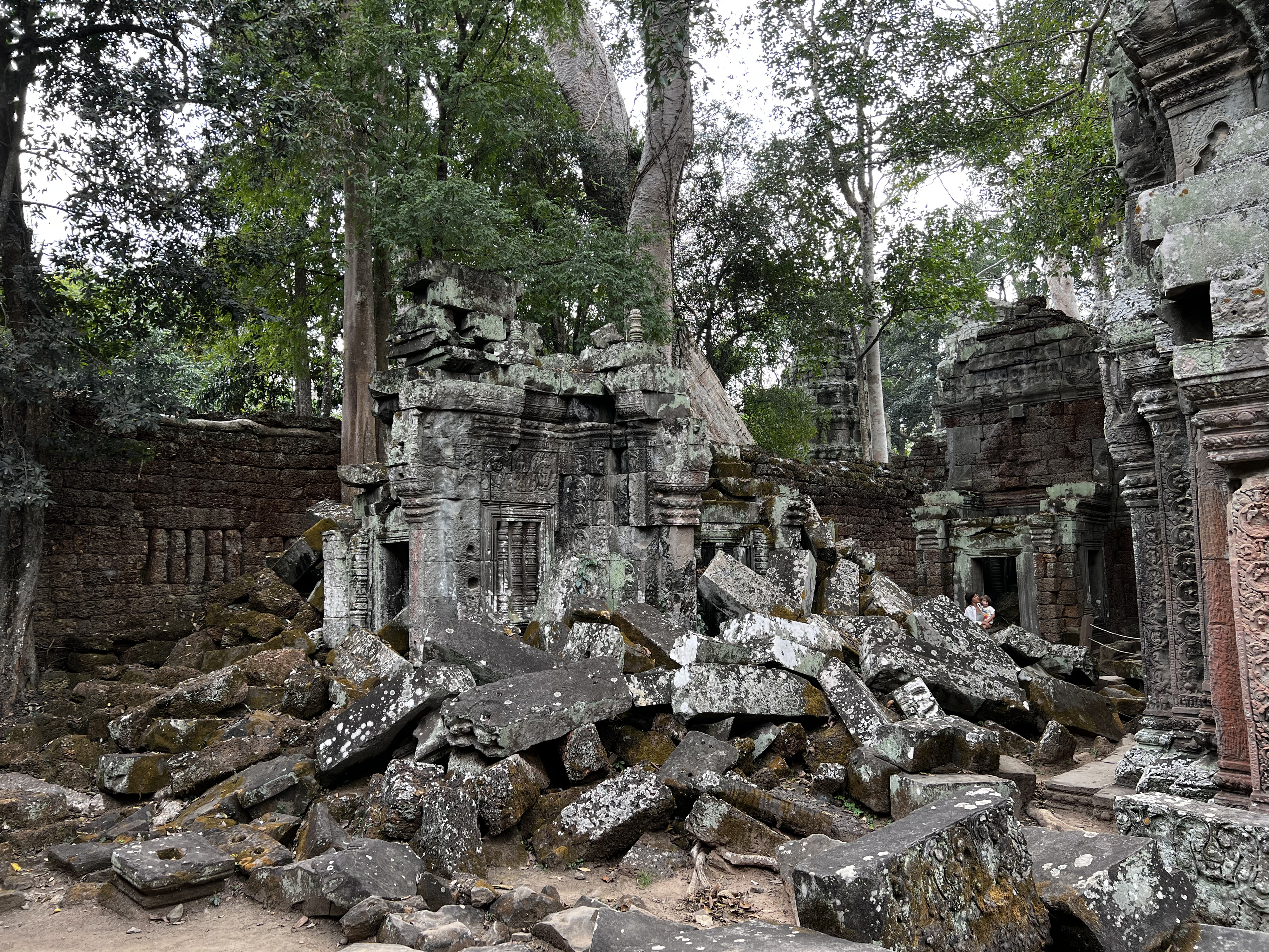 Picture Cambodia Siem Reap Ta Prohm 2023-01 56 - History Ta Prohm