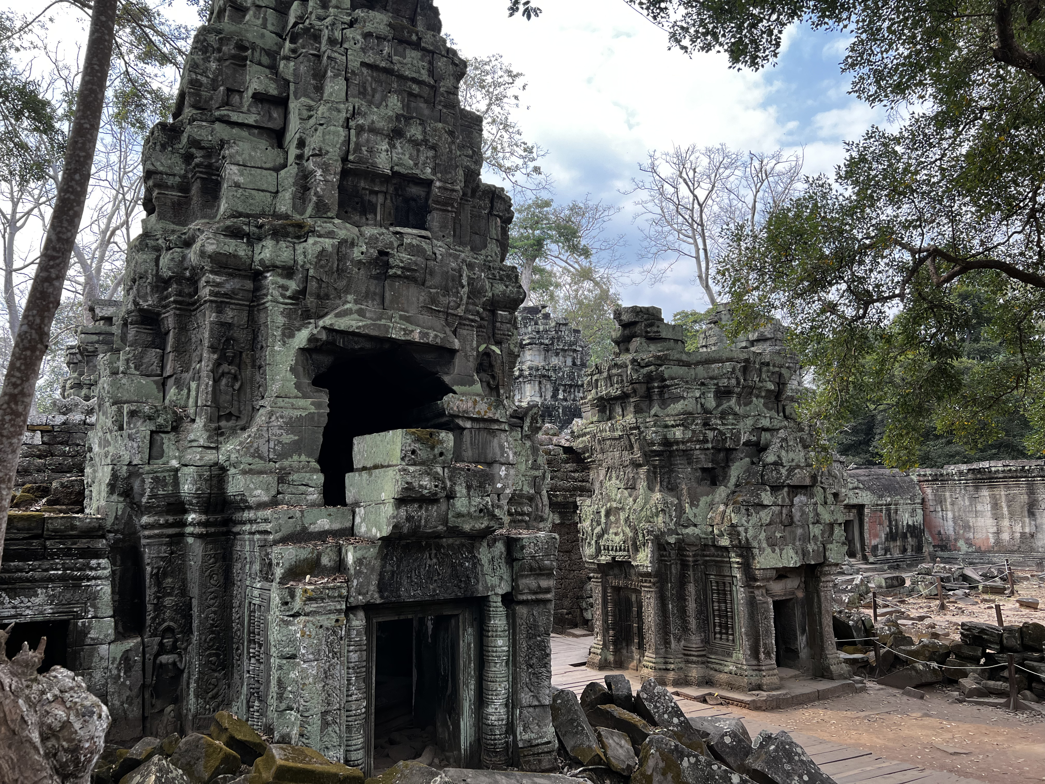 Picture Cambodia Siem Reap Ta Prohm 2023-01 55 - Recreation Ta Prohm