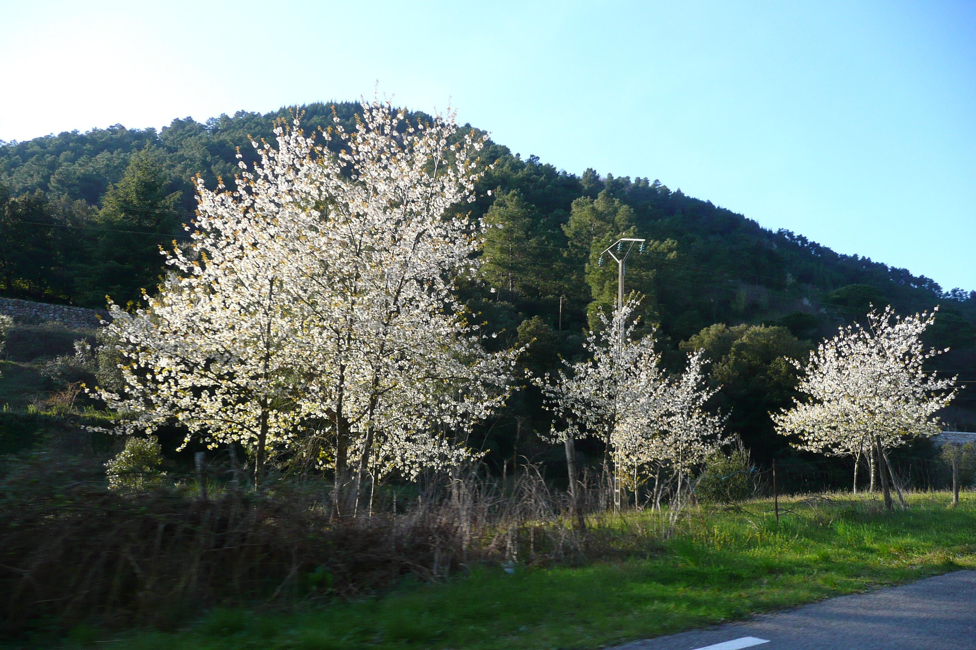 Picture France Cevennes Mountains 2008-04 41 - Recreation Cevennes Mountains