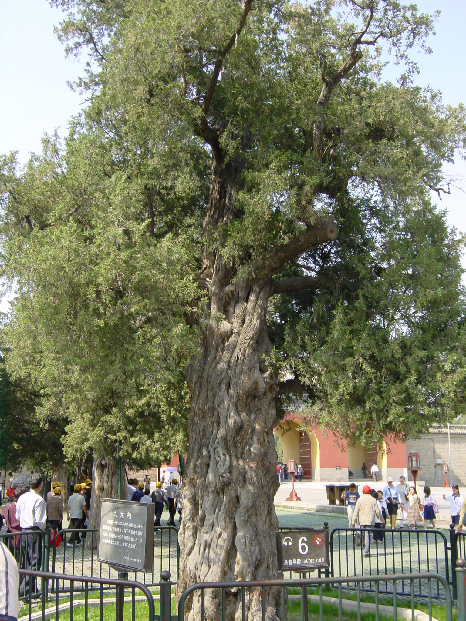 Picture China Beijing Temple of Heaven 2002-05 4 - Journey Temple of Heaven