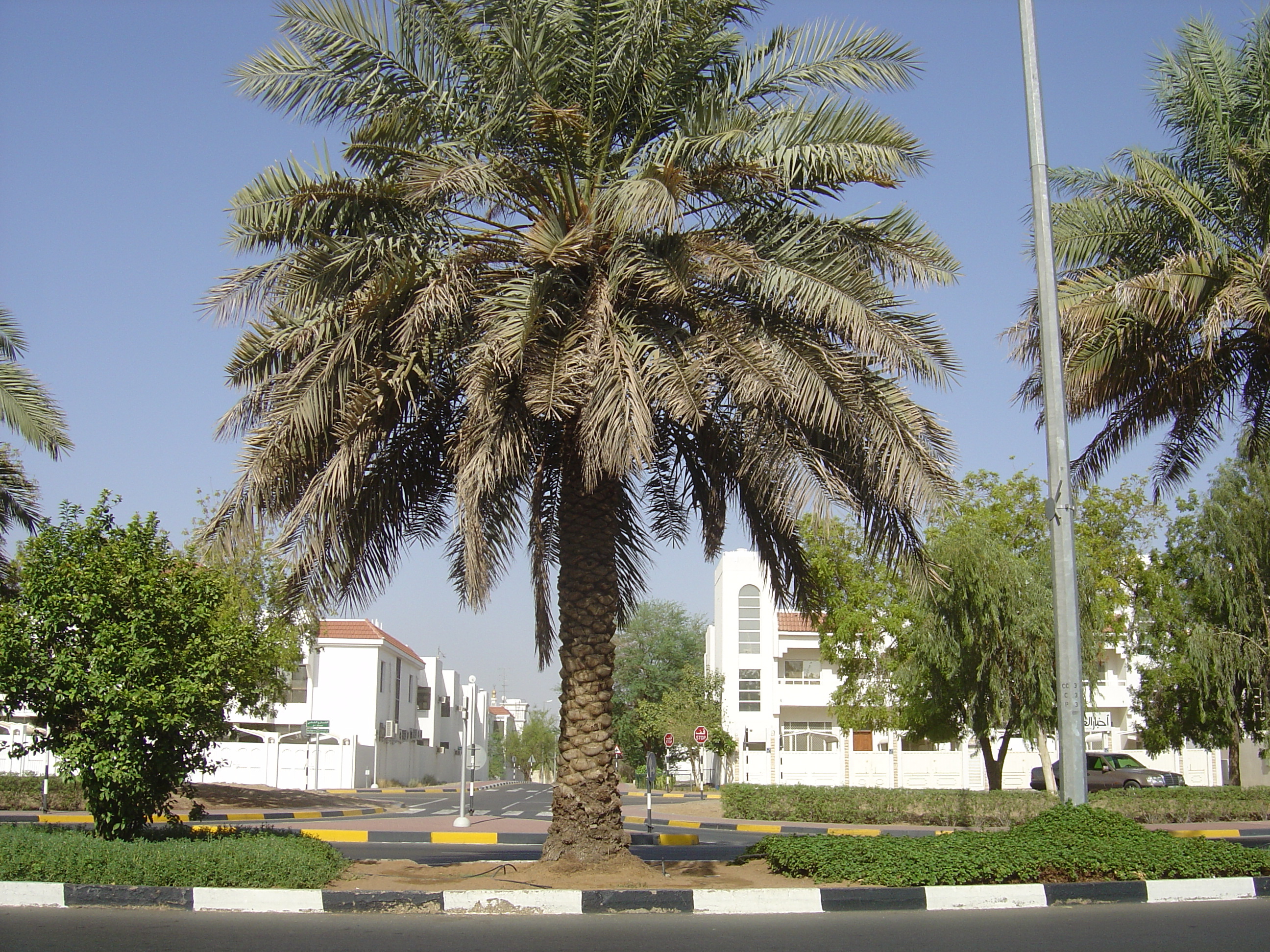 Picture United Arab Emirates Al Ain 2005-09 7 - Recreation Al Ain