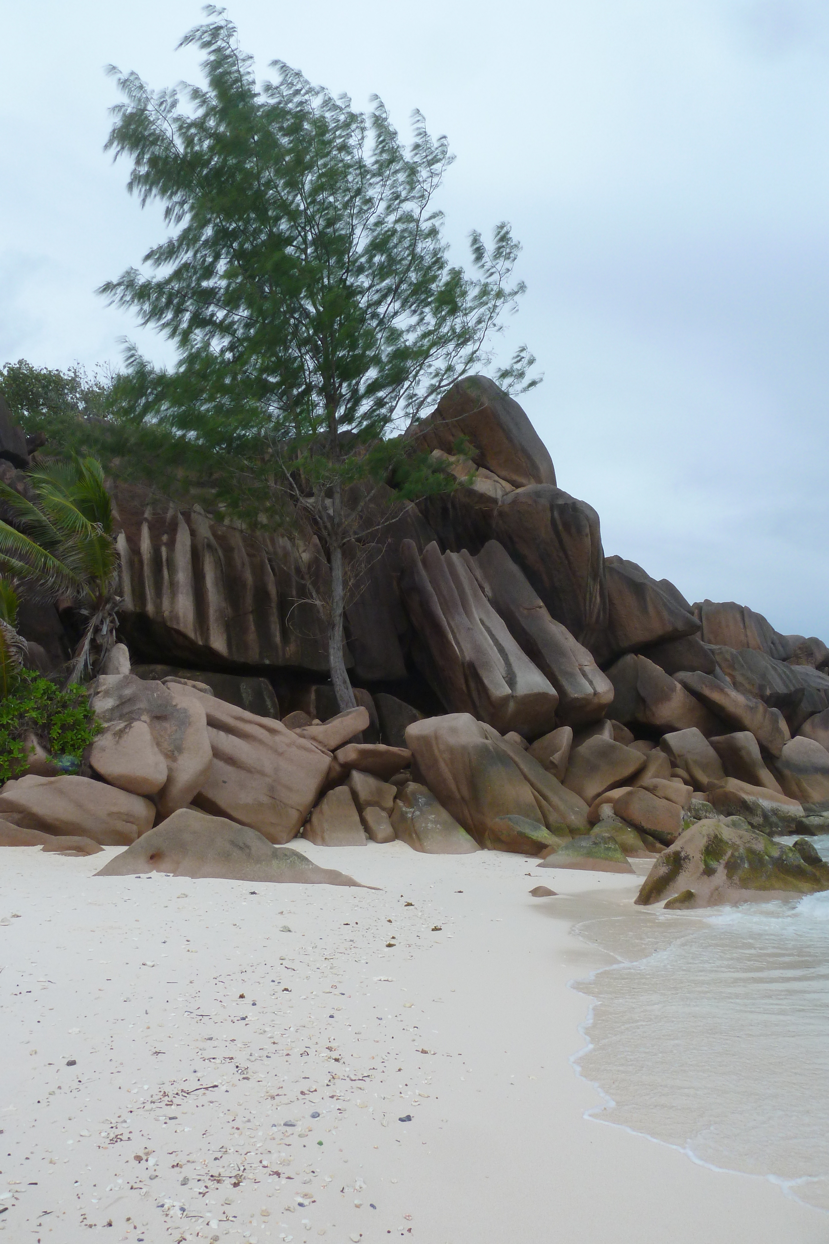 Picture Seychelles La Digue 2011-10 126 - Journey La Digue