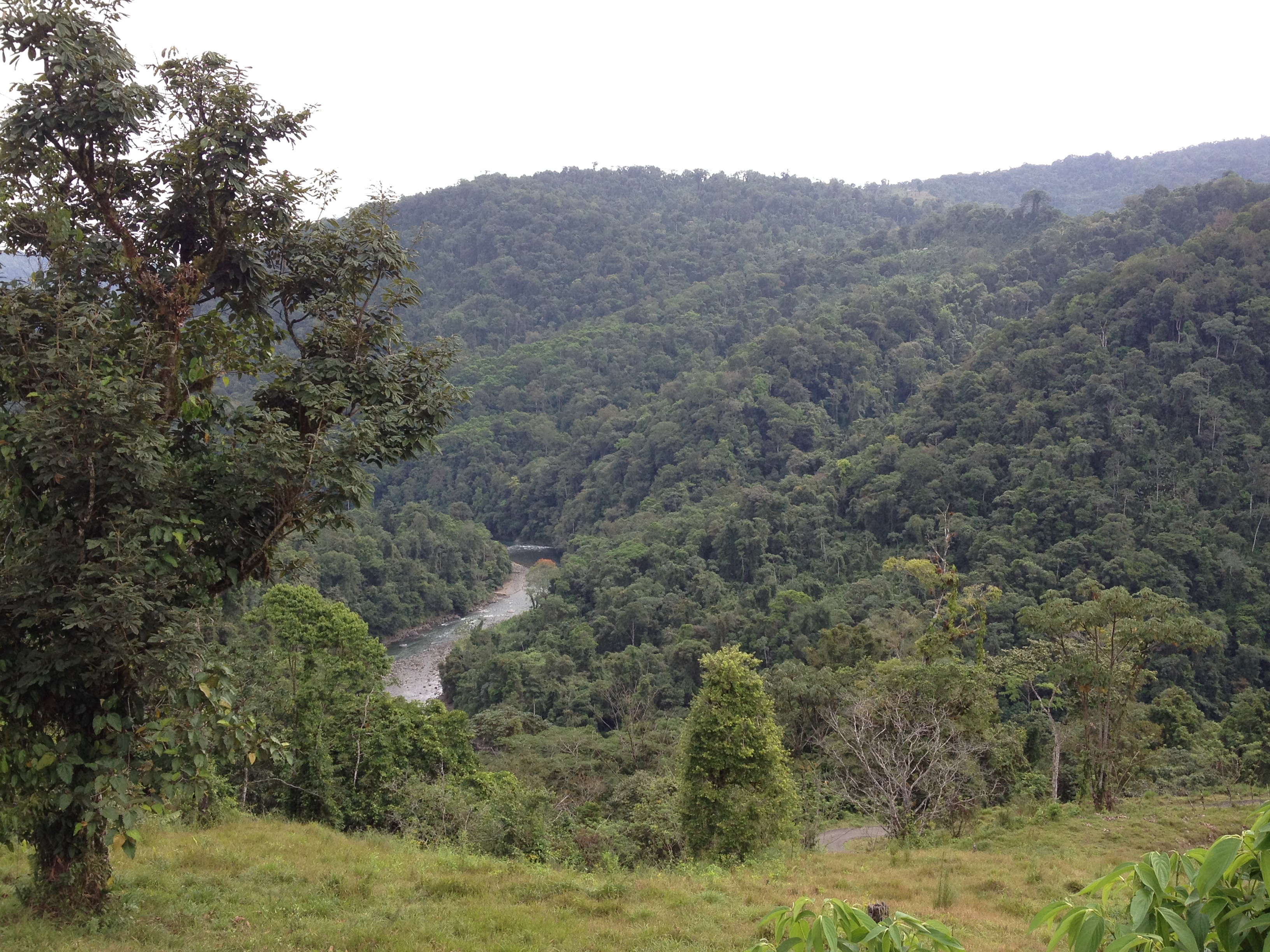 Picture Costa Rica Pacuare River 2015-03 144 - Center Pacuare River