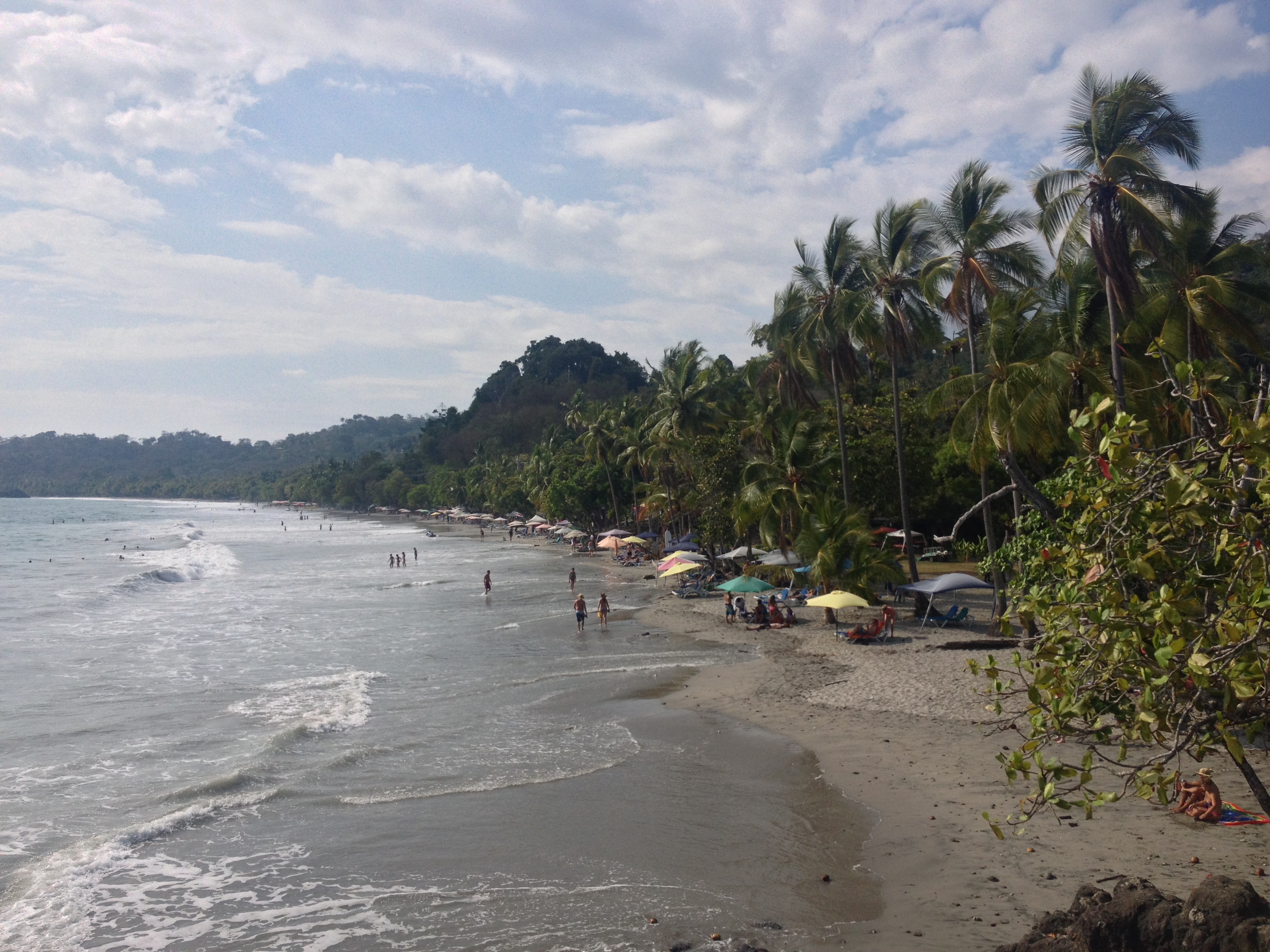 Picture Costa Rica Manuel Antonio 2015-03 348 - Tours Manuel Antonio