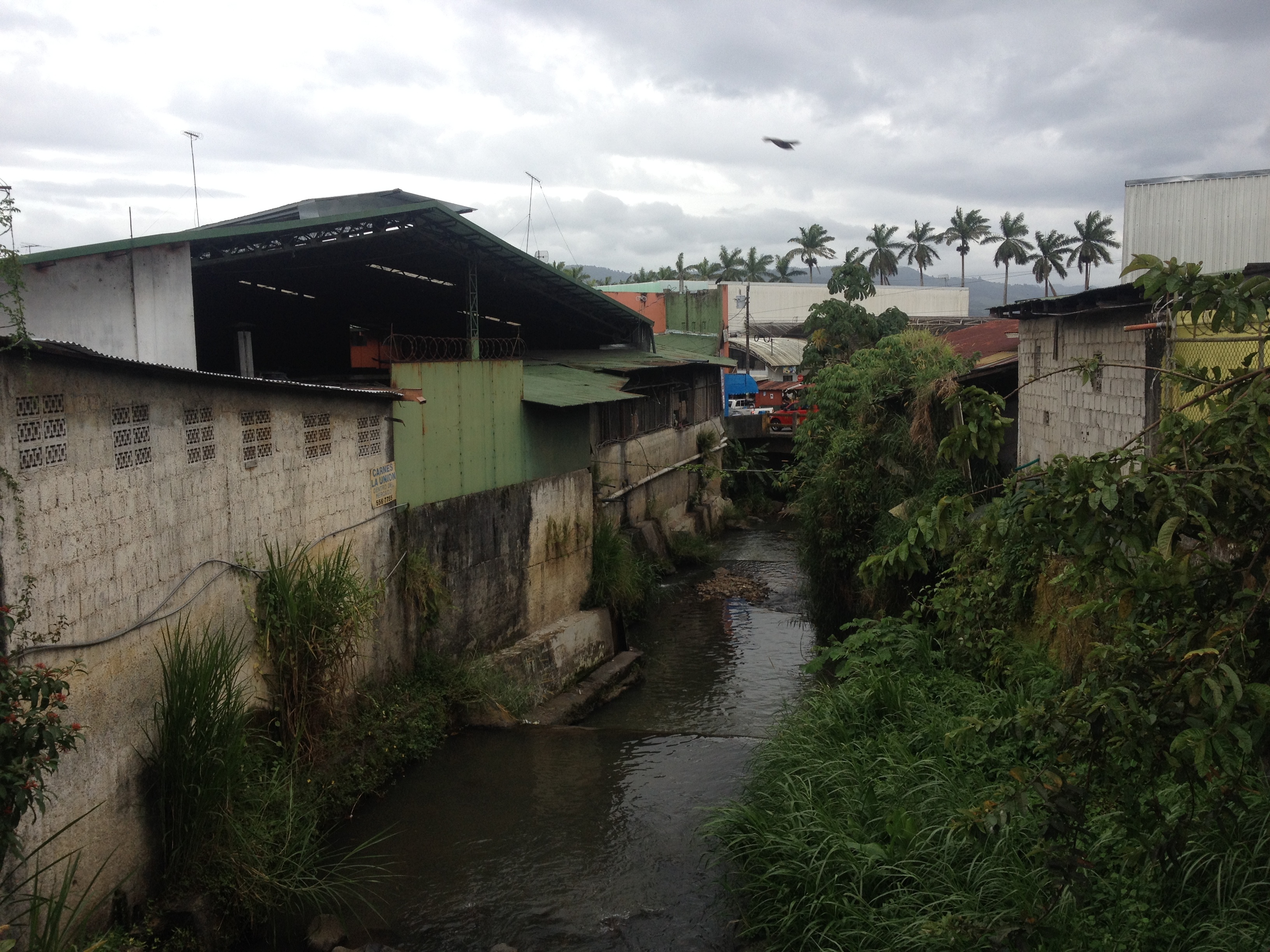 Picture Costa Rica Turrialba 2015-03 8 - Around Turrialba