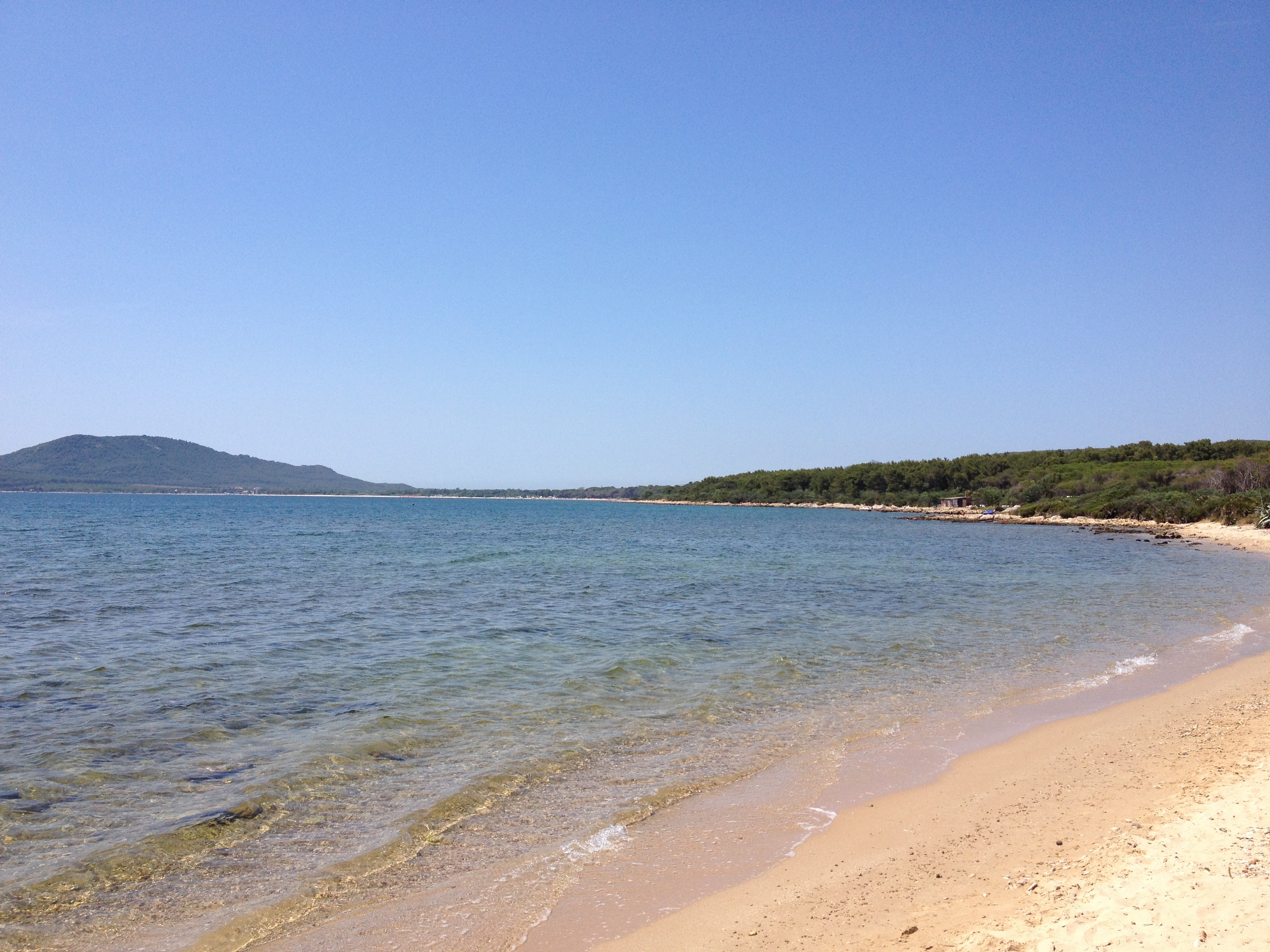 Picture Italy Sardinia Alghero 2015-06 147 - Center Alghero