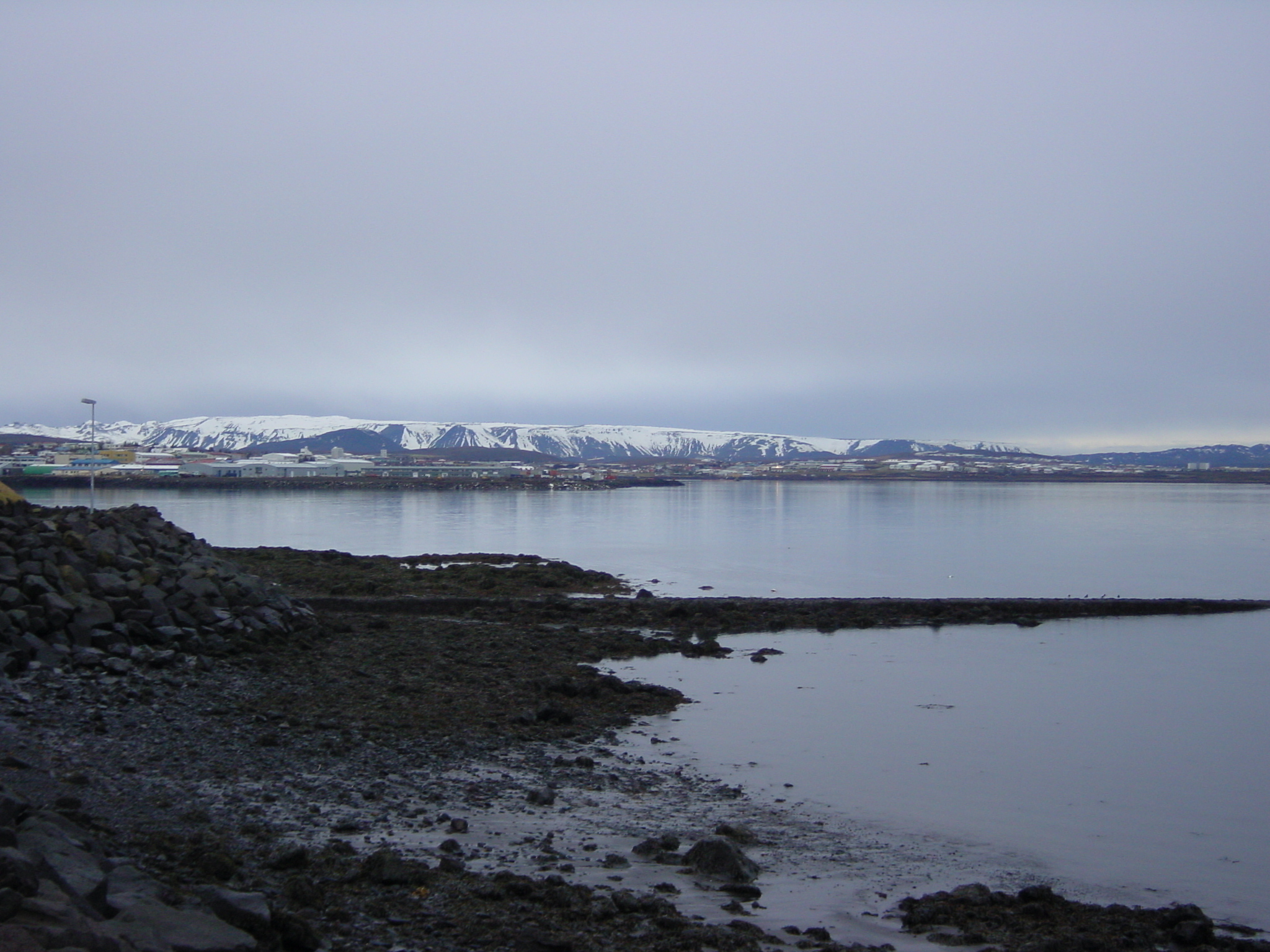 Picture Iceland Road 36 Mosfellbaer to Pingvellir 2003-03 15 - Center Road 36 Mosfellbaer to Pingvellir