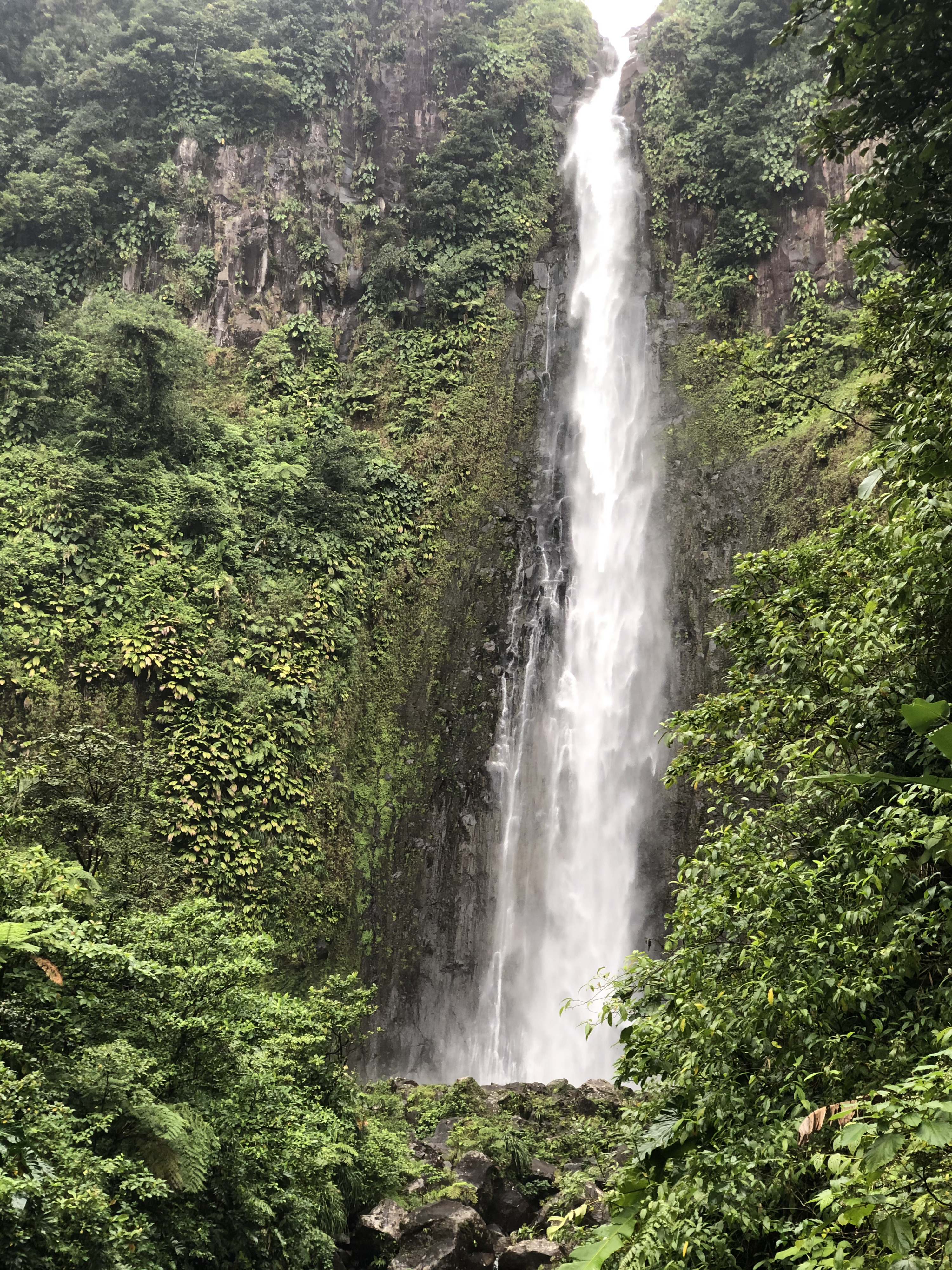 Picture Guadeloupe Carbet Falls 2021-02 51 - Discovery Carbet Falls