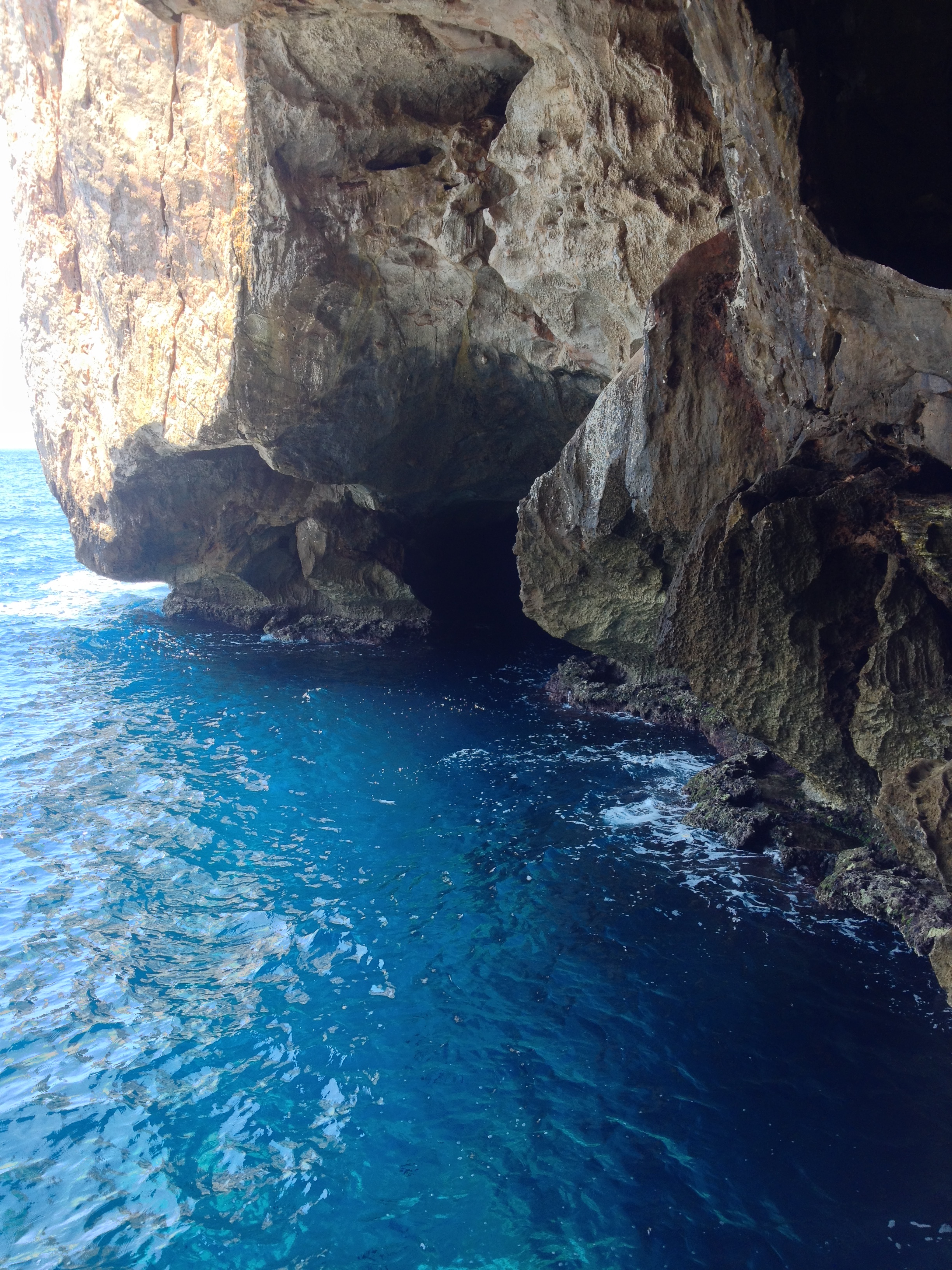 Picture Italy Sardinia Capo Caccia 2015-06 23 - Around Capo Caccia