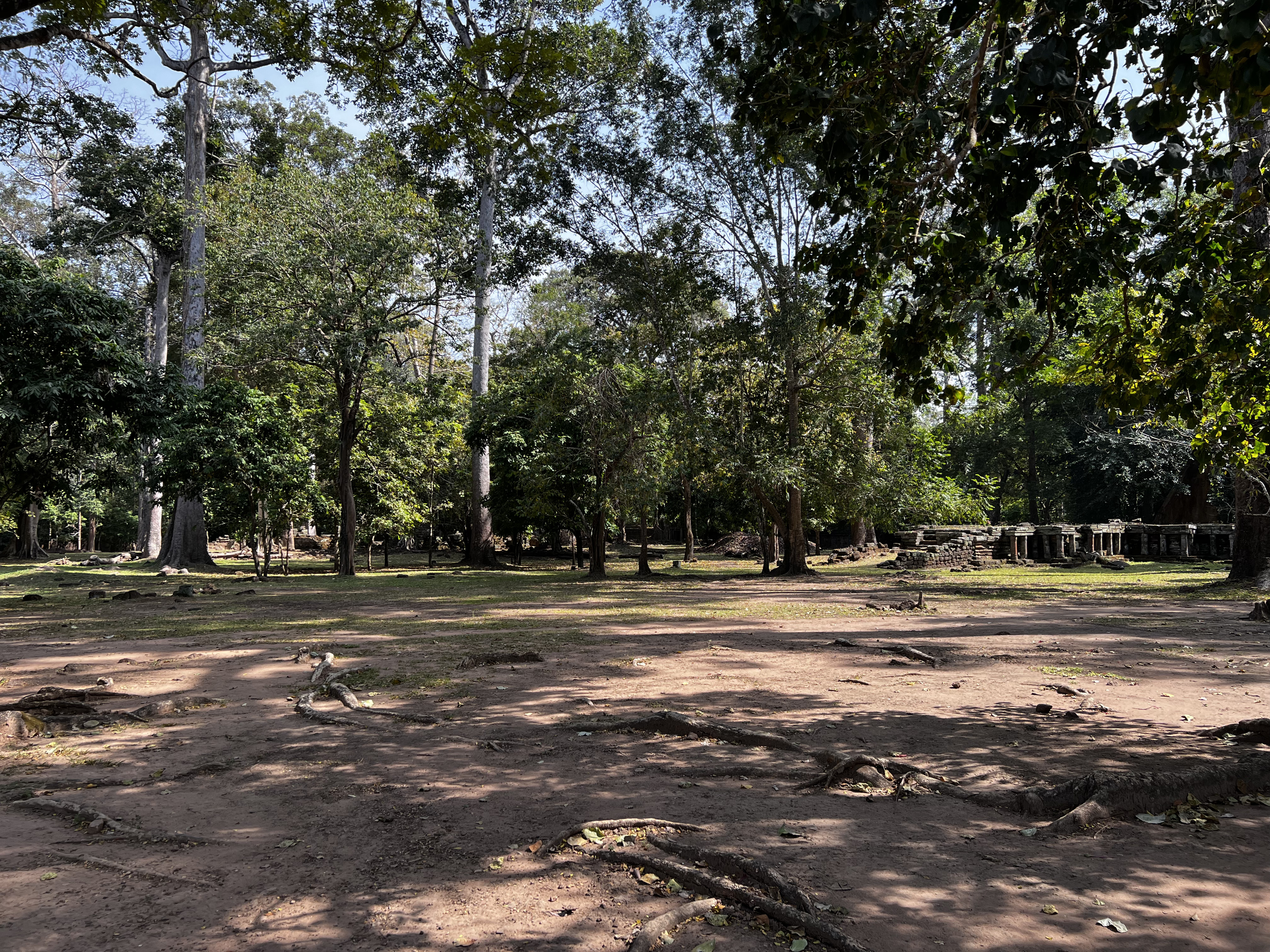 Picture Cambodia Siem Reap Angkor Thom 2023-01 2 - Tour Angkor Thom