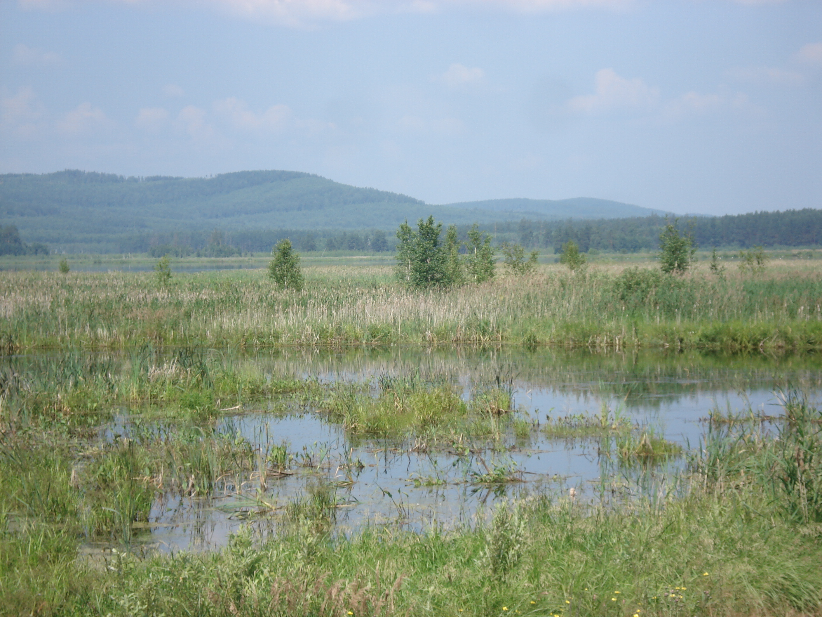 Picture Russia Ural 2006-07 60 - Journey Ural