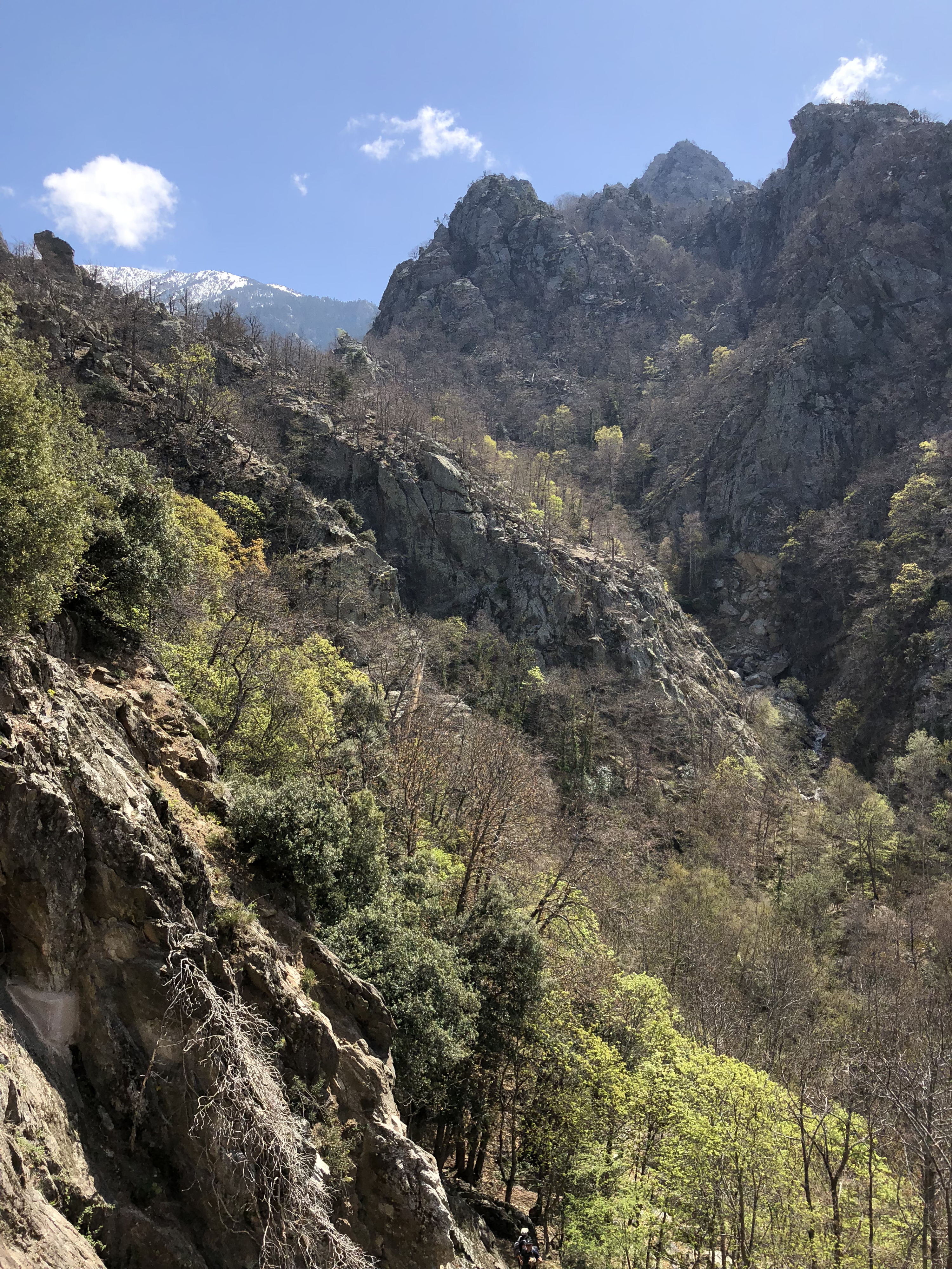 Picture France Abbaye Saint Martin du Canigou 2018-04 16 - Around Abbaye Saint Martin du Canigou