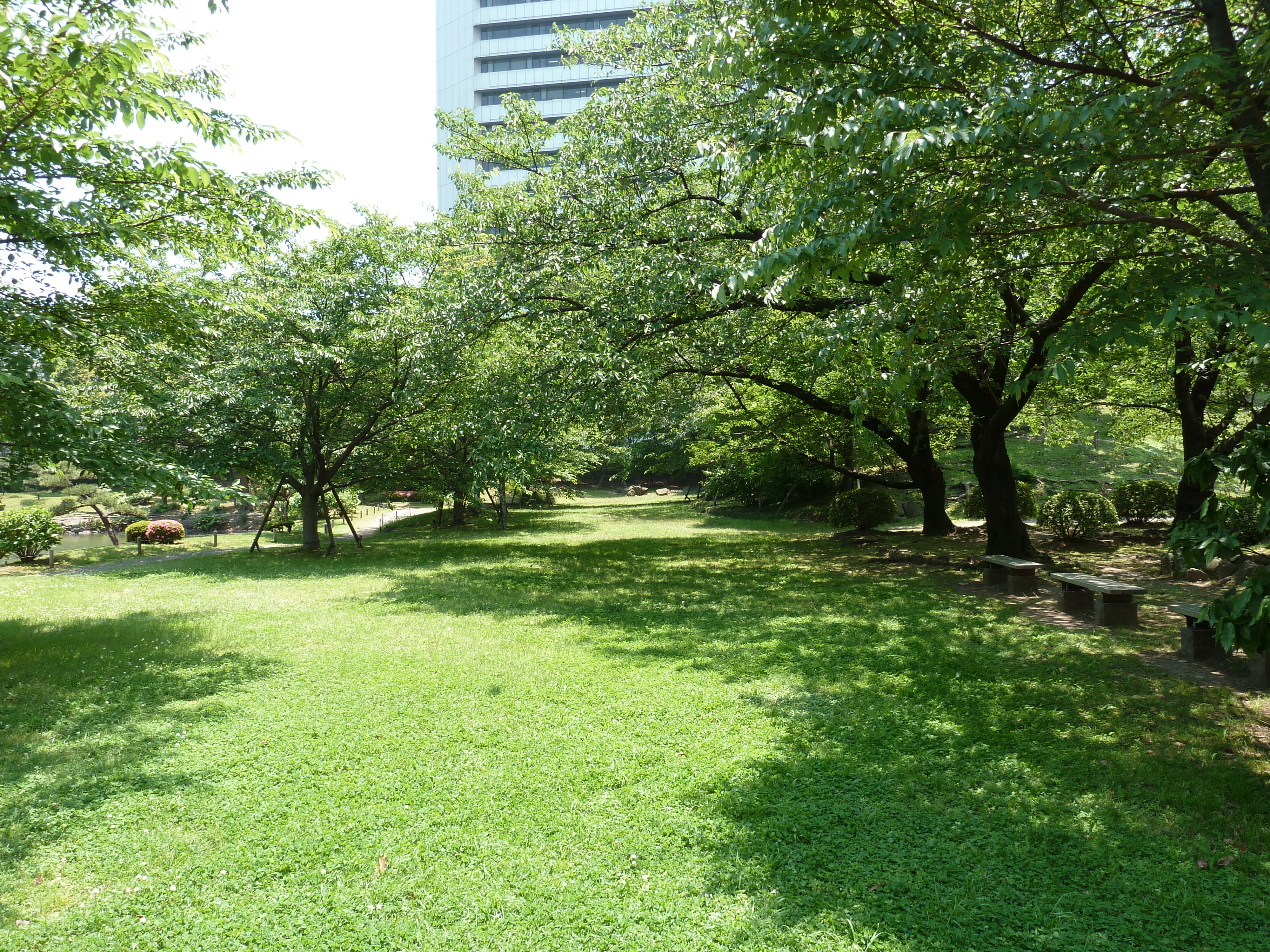 Picture Japan Tokyo Kyu Shiba rikyu Gardens 2010-06 43 - Around Kyu Shiba rikyu Gardens