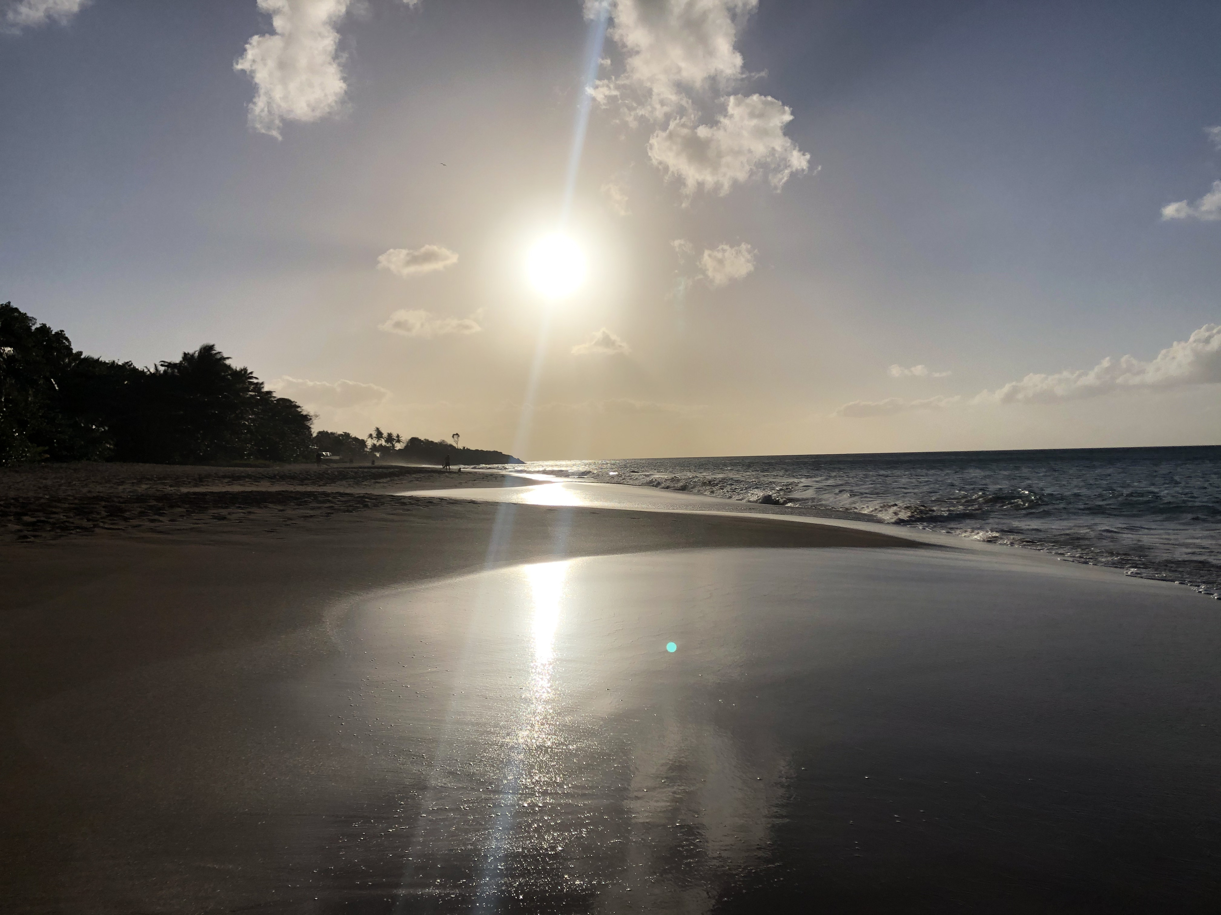 Picture Guadeloupe La Perle Beach 2021-02 115 - Discovery La Perle Beach