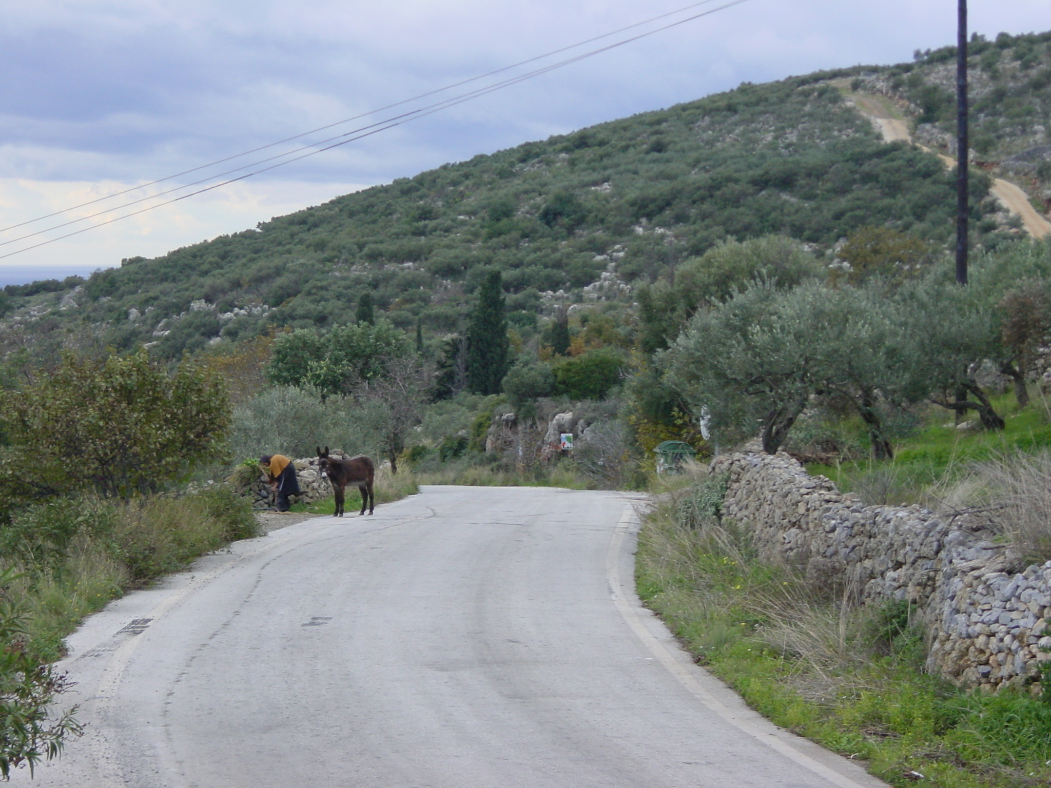 Picture Greece Peloponese 2003-12 58 - Journey Peloponese