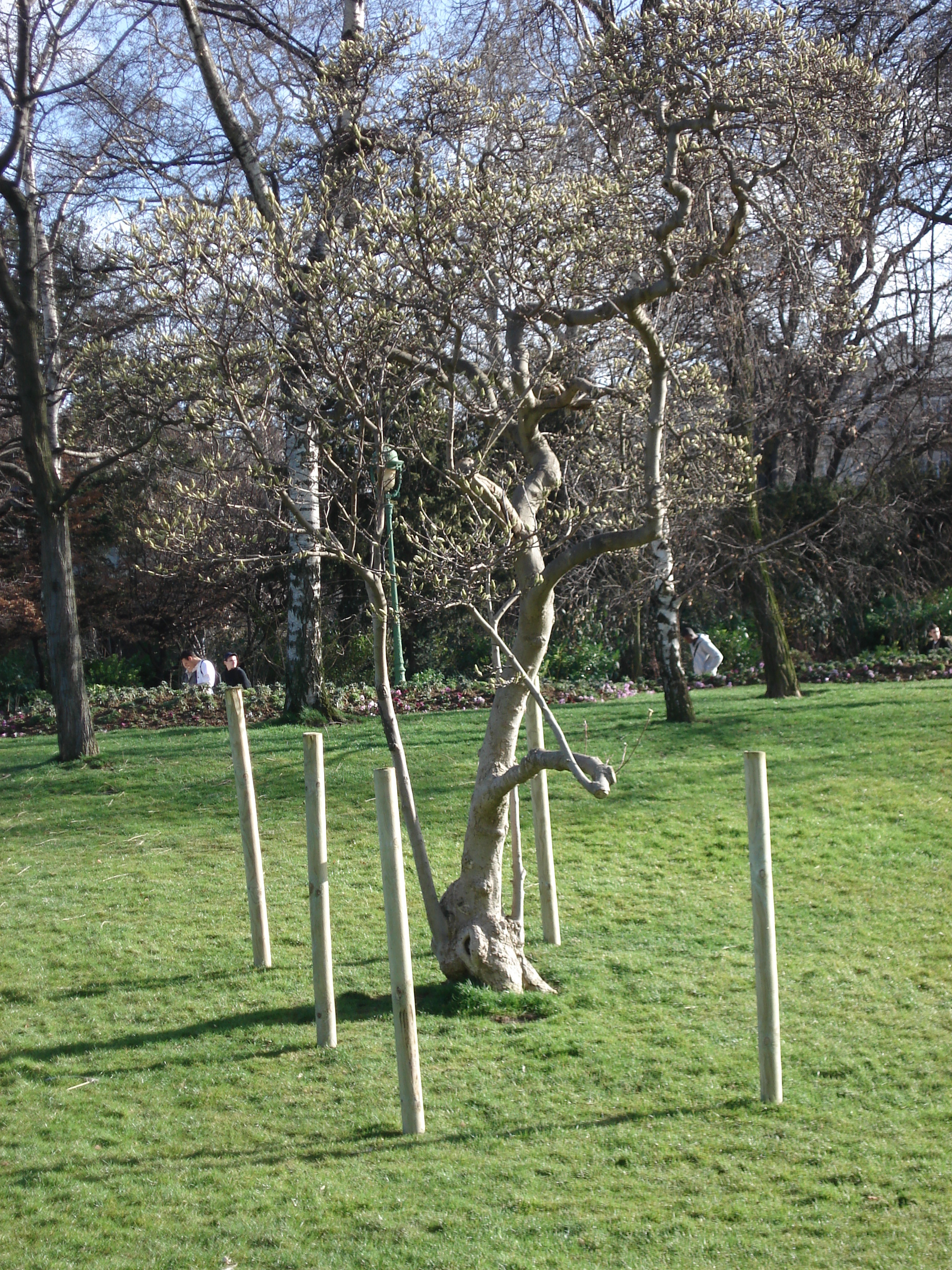 Picture France Paris Monceau Garden 2006-03 40 - Discovery Monceau Garden