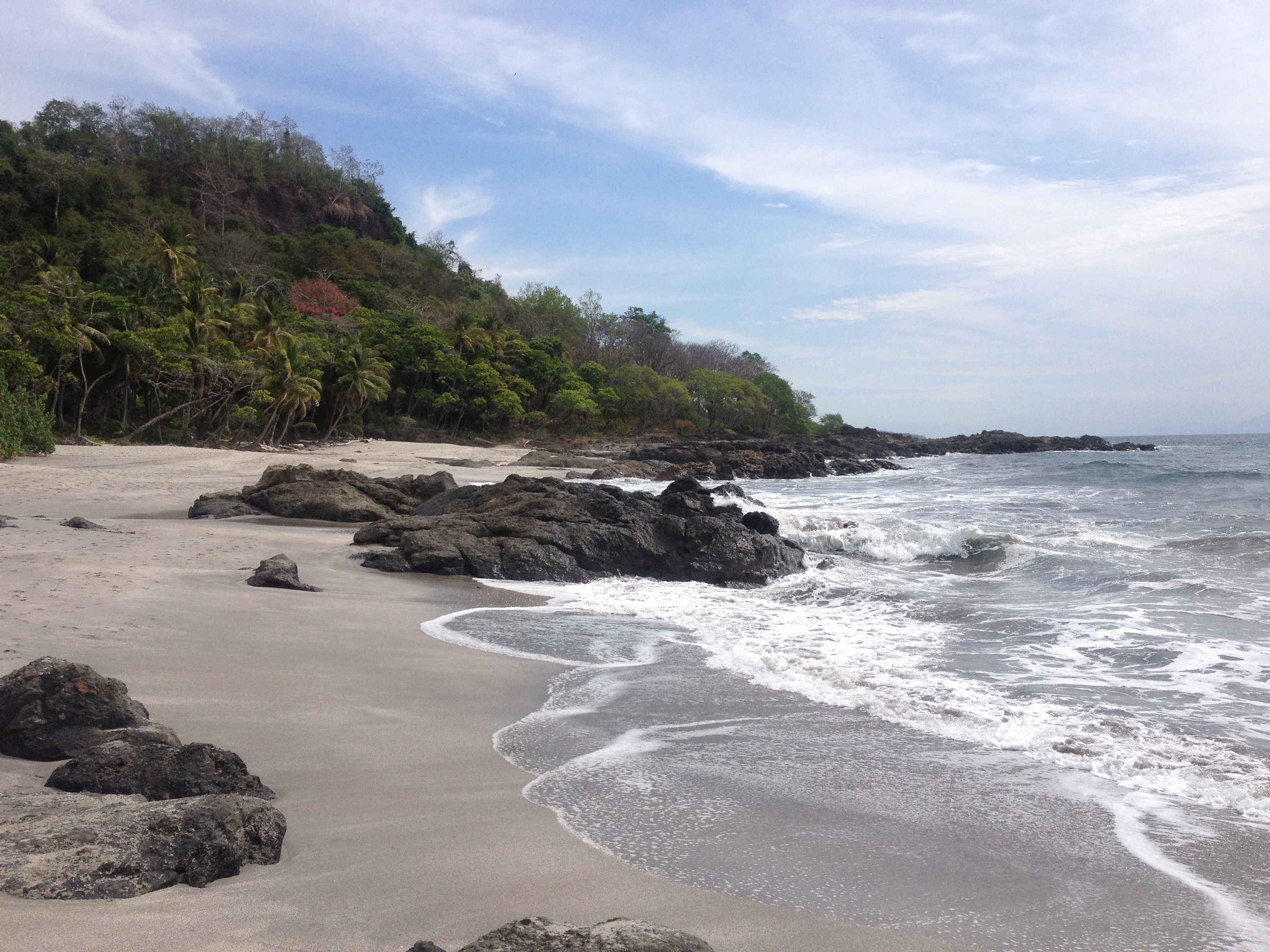 Picture Costa Rica Montezuma 2015-03 594 - Tours Montezuma