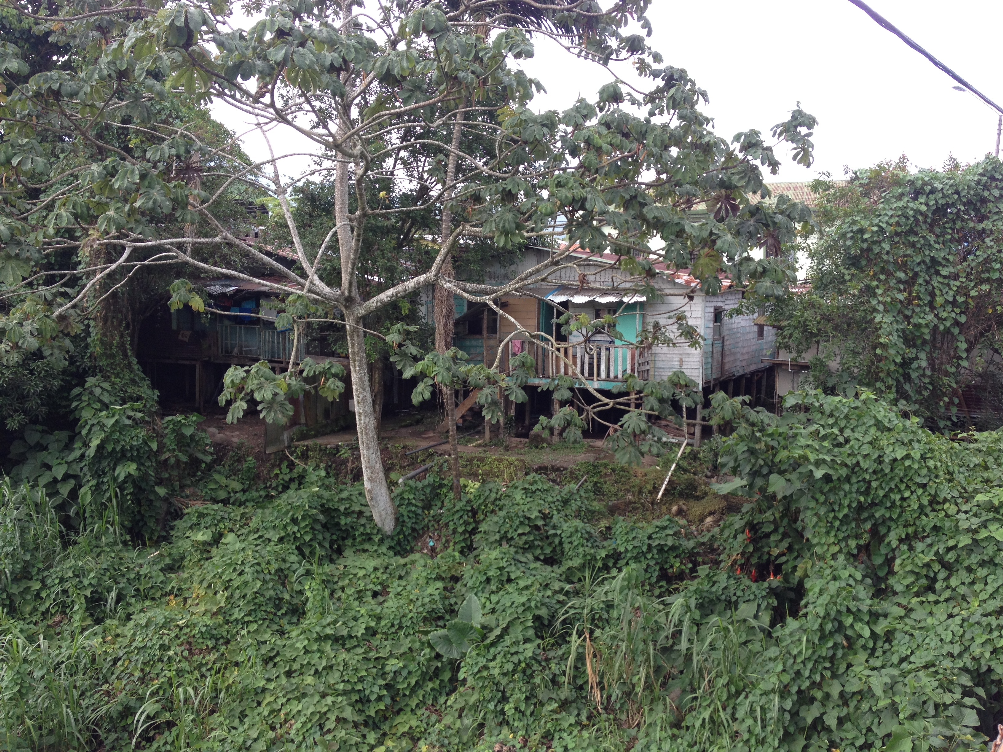 Picture Costa Rica Turrialba 2015-03 24 - Center Turrialba