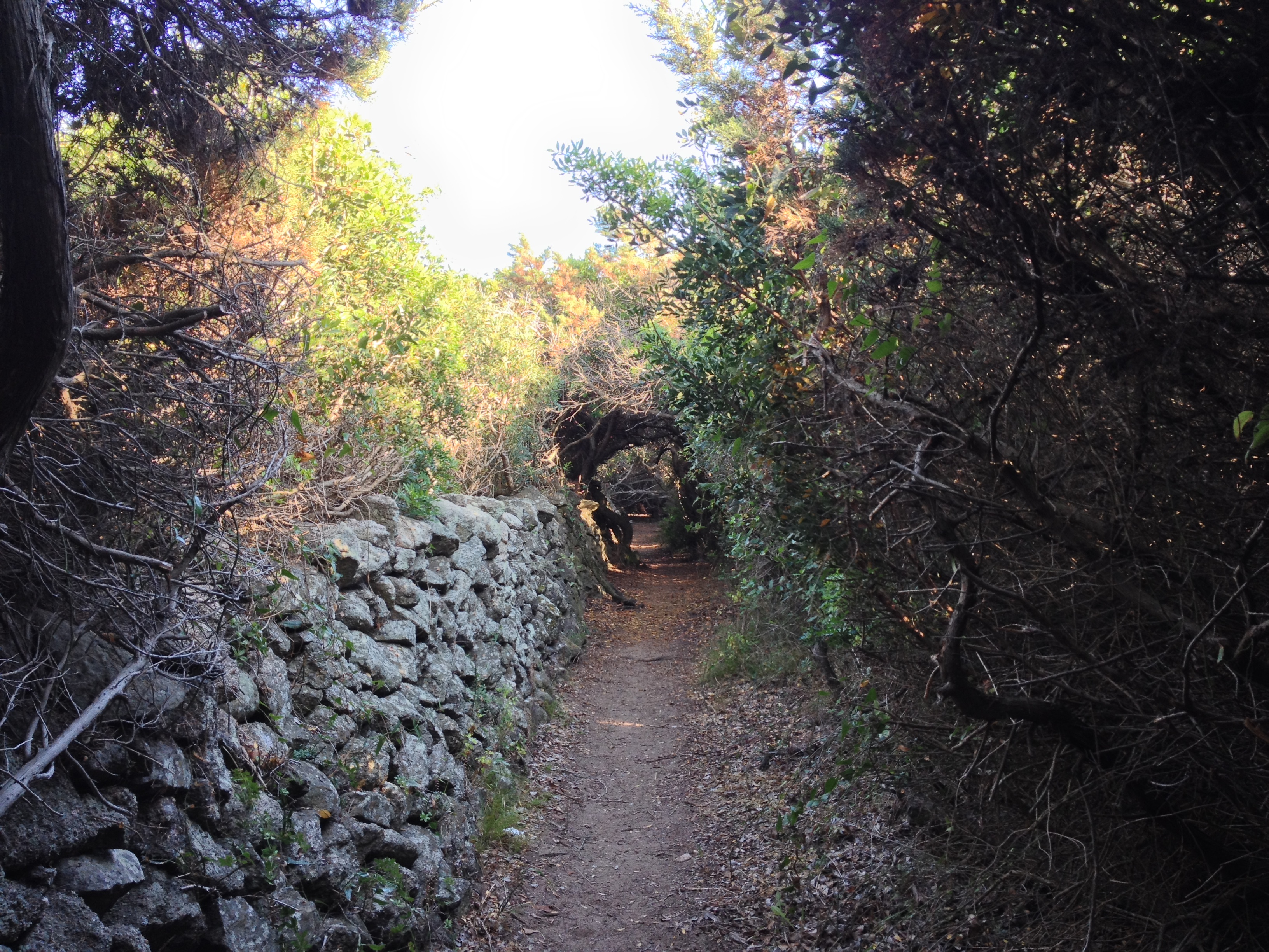 Picture Italy Sardinia Portobello di Gallura 2015-06 11 - Center Portobello di Gallura