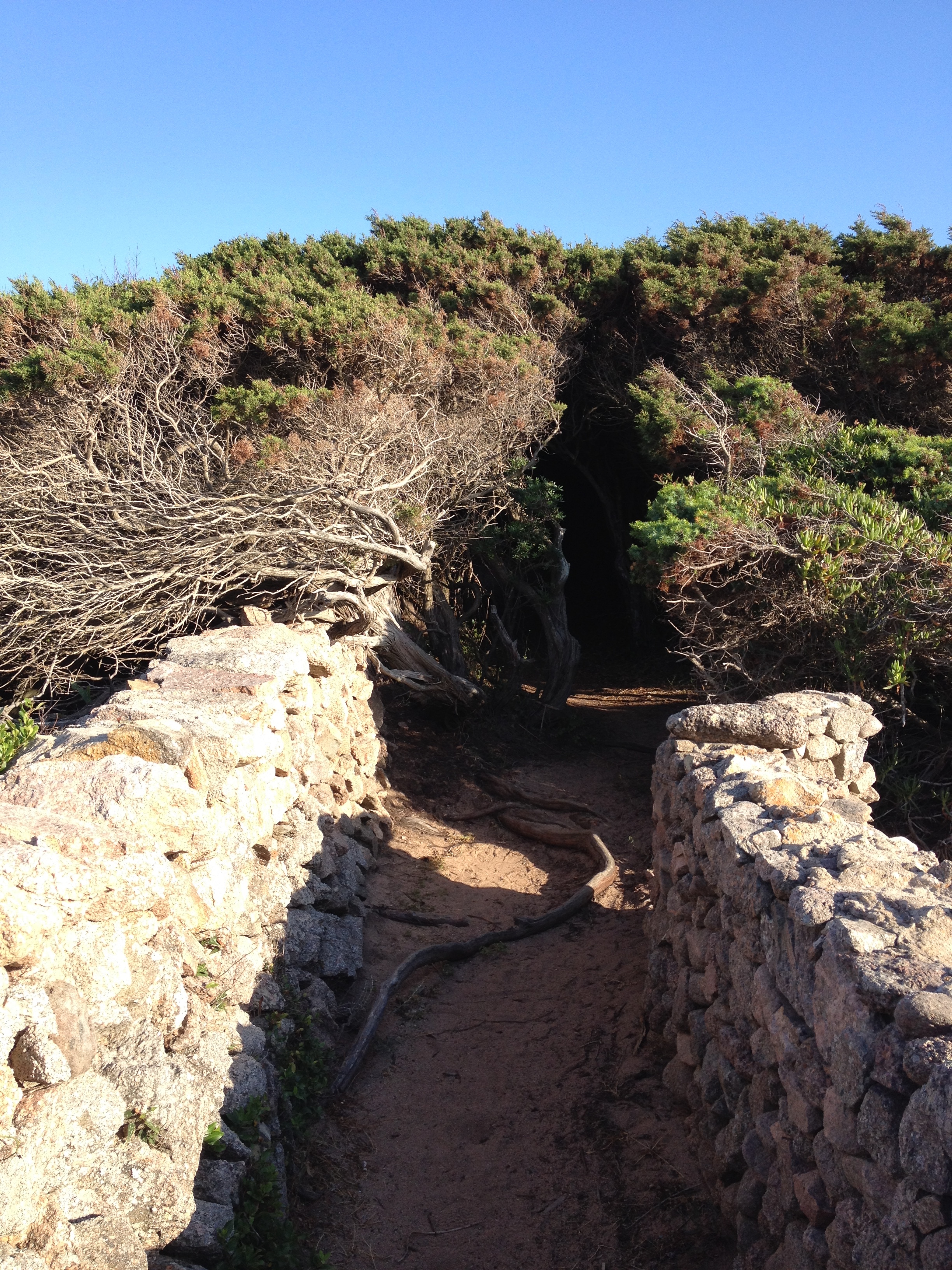 Picture Italy Sardinia Portobello di Gallura 2015-06 8 - Journey Portobello di Gallura