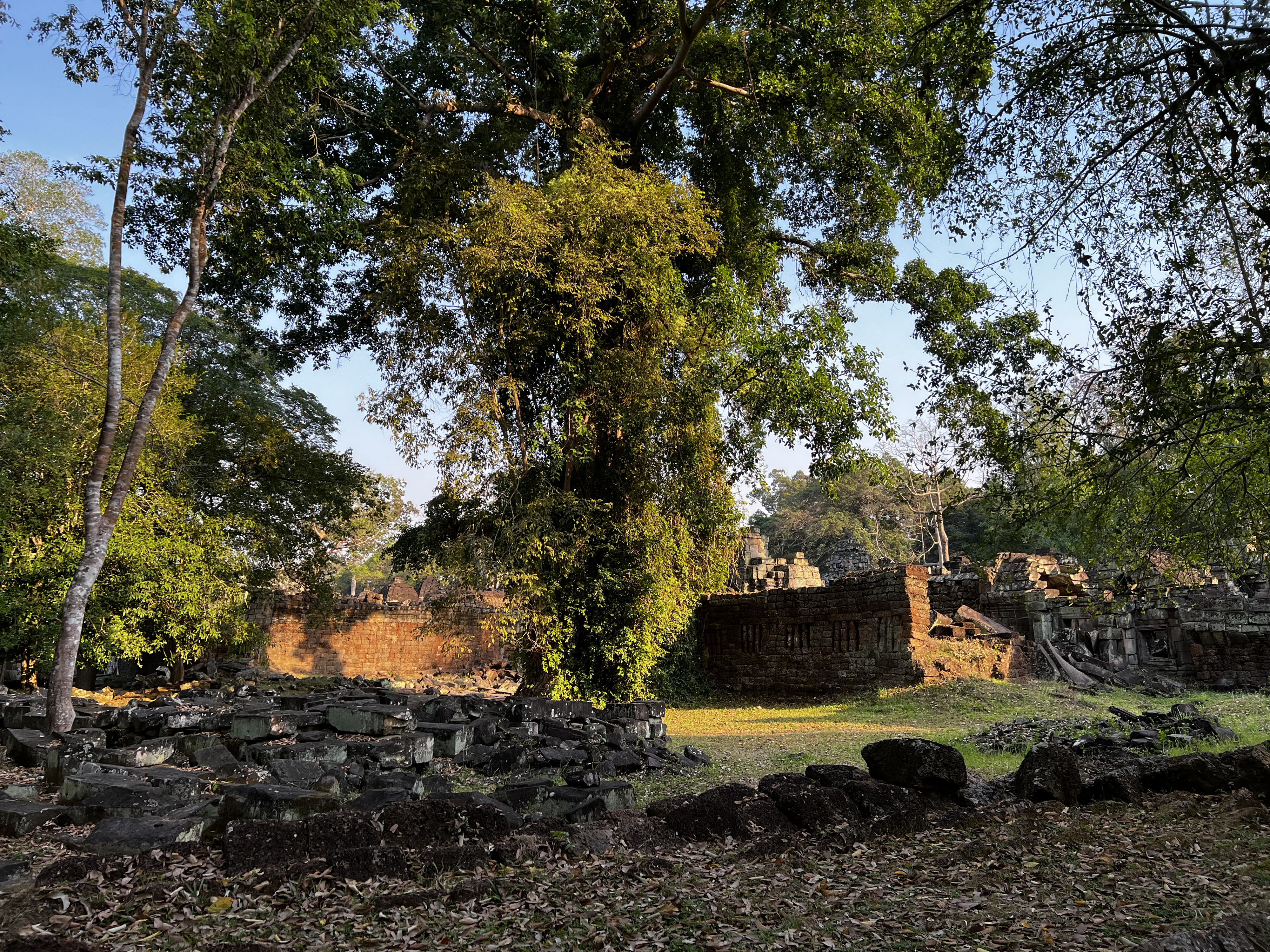 Picture Cambodia Siem Reap Preah Khan 2023-01 66 - Tour Preah Khan