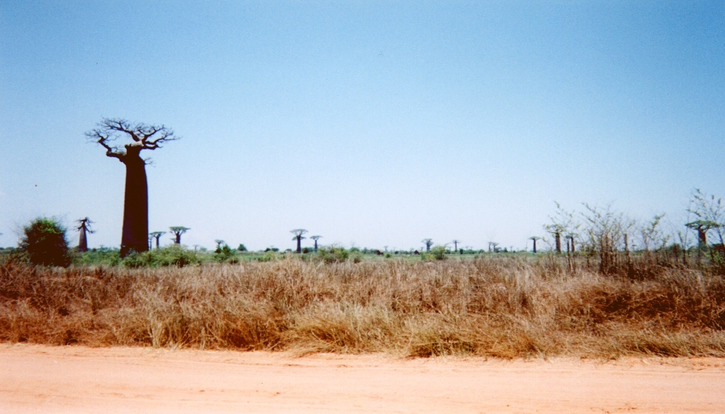 Picture Madagascar Tsingy 1999-10 18 - Tours Tsingy