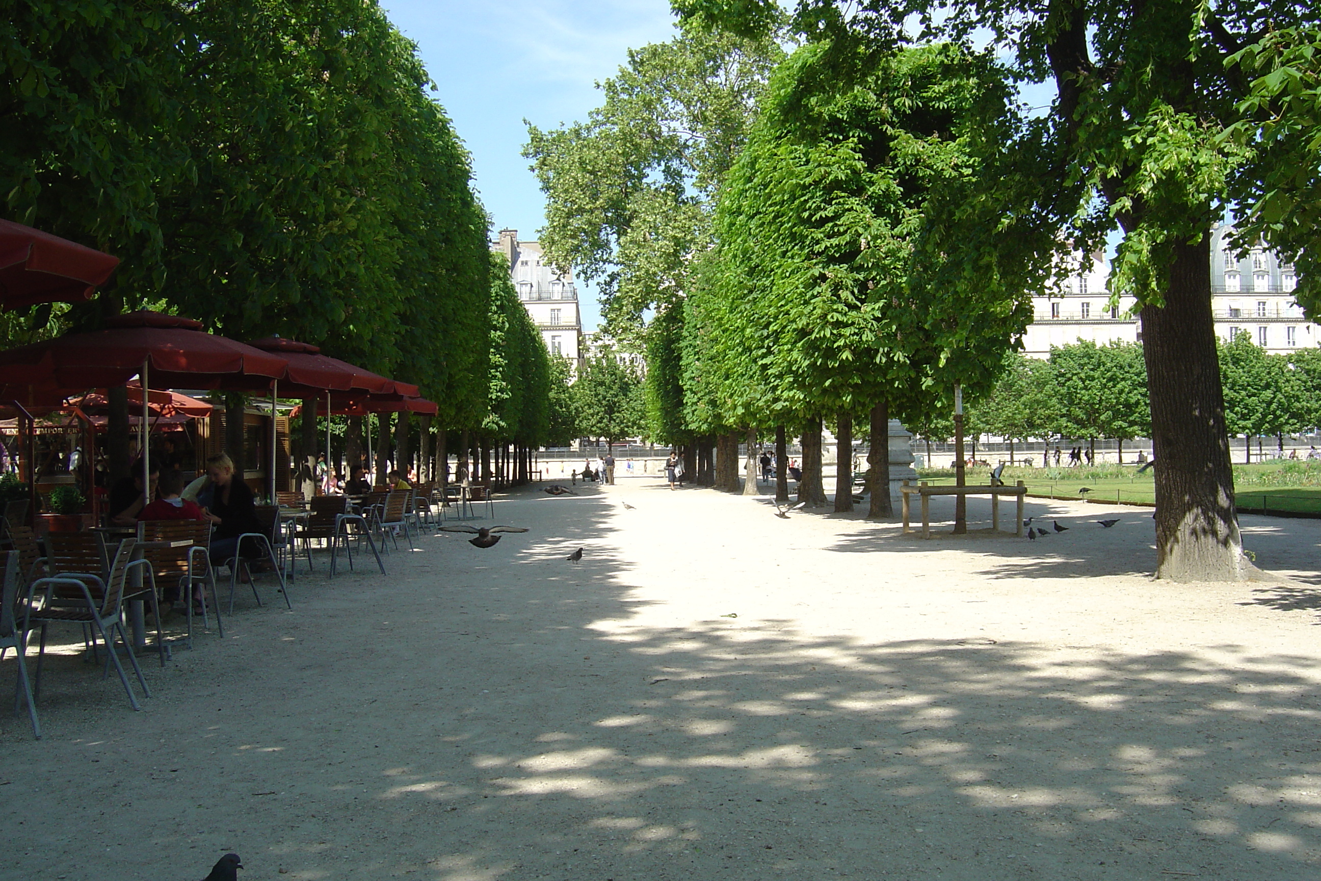 Picture France Paris Garden of Tuileries 2007-05 54 - Recreation Garden of Tuileries