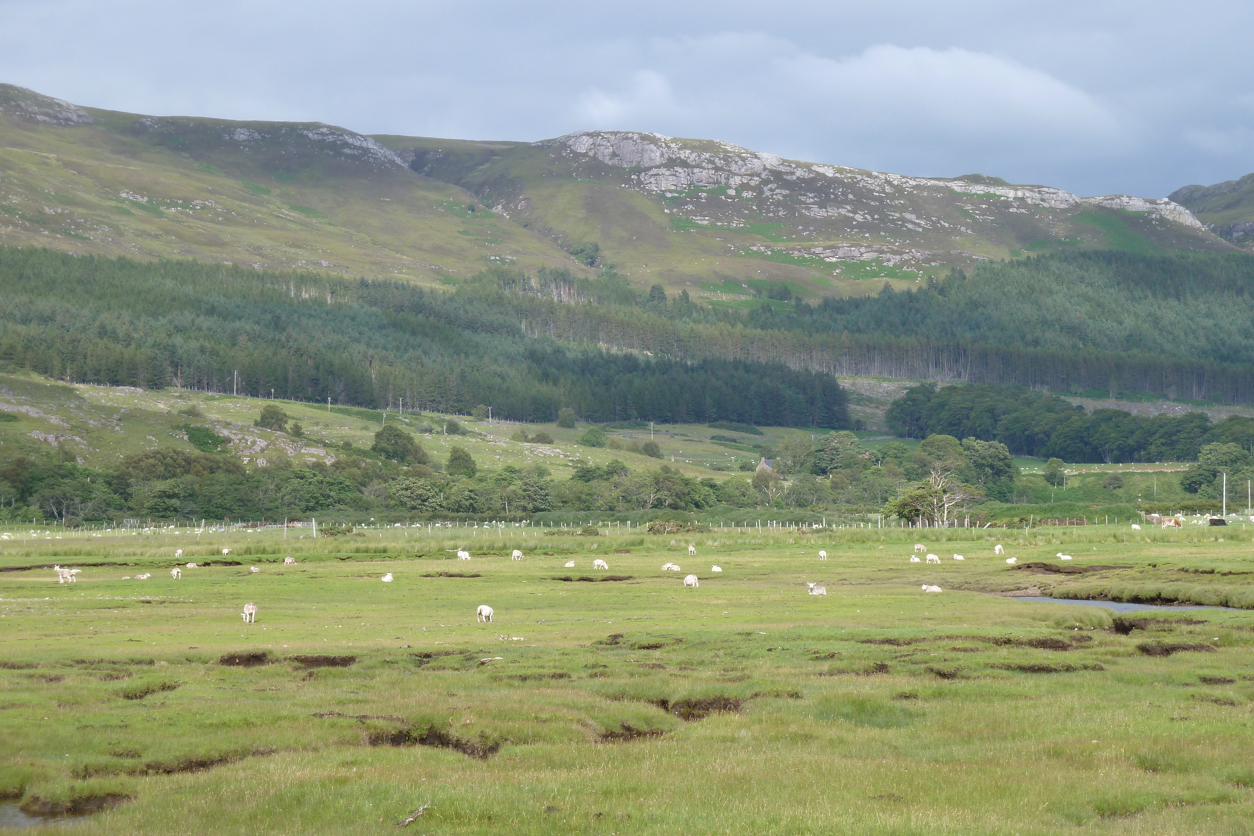 Picture United Kingdom Wester Ross 2011-07 148 - Center Wester Ross