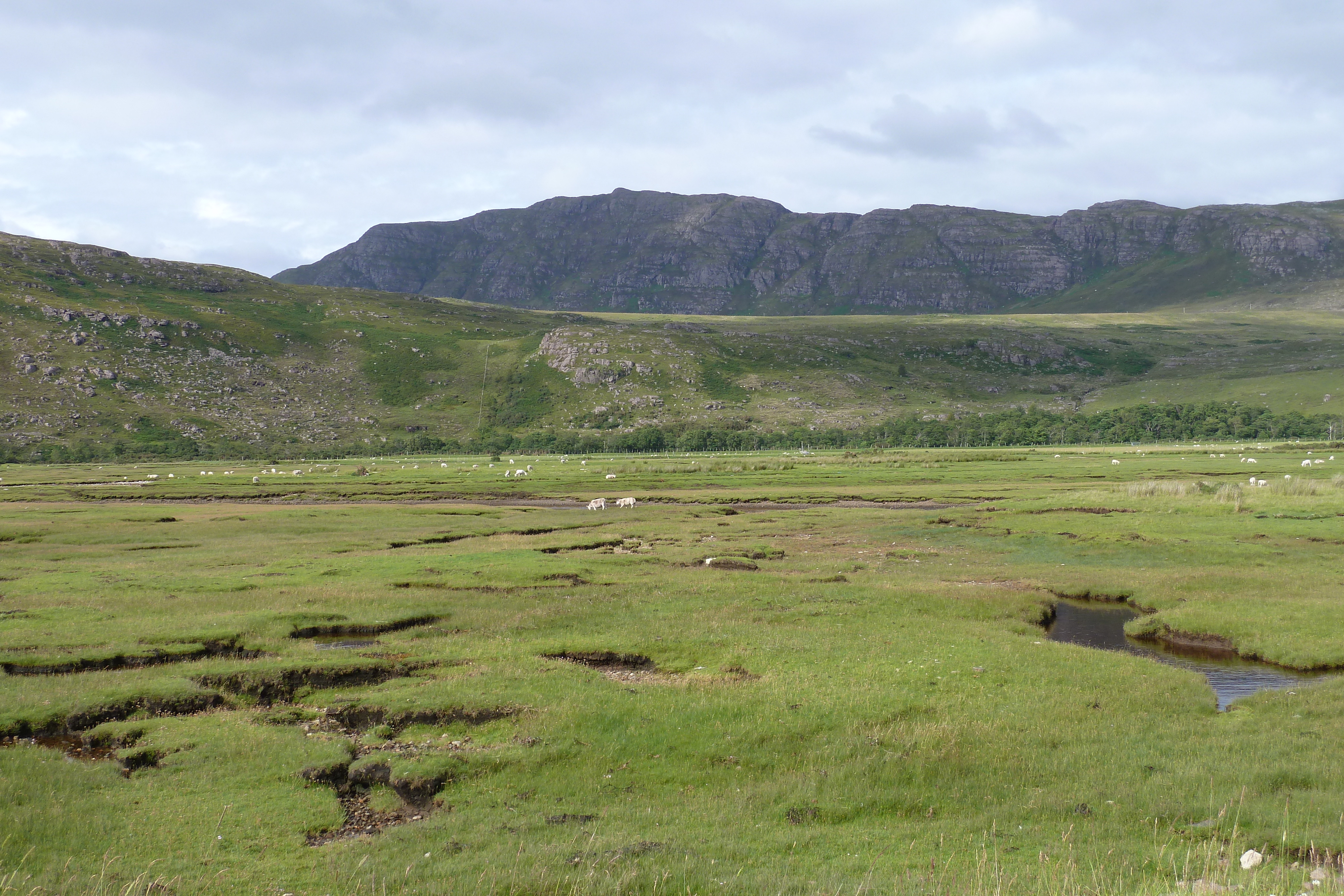 Picture United Kingdom Wester Ross 2011-07 162 - Recreation Wester Ross