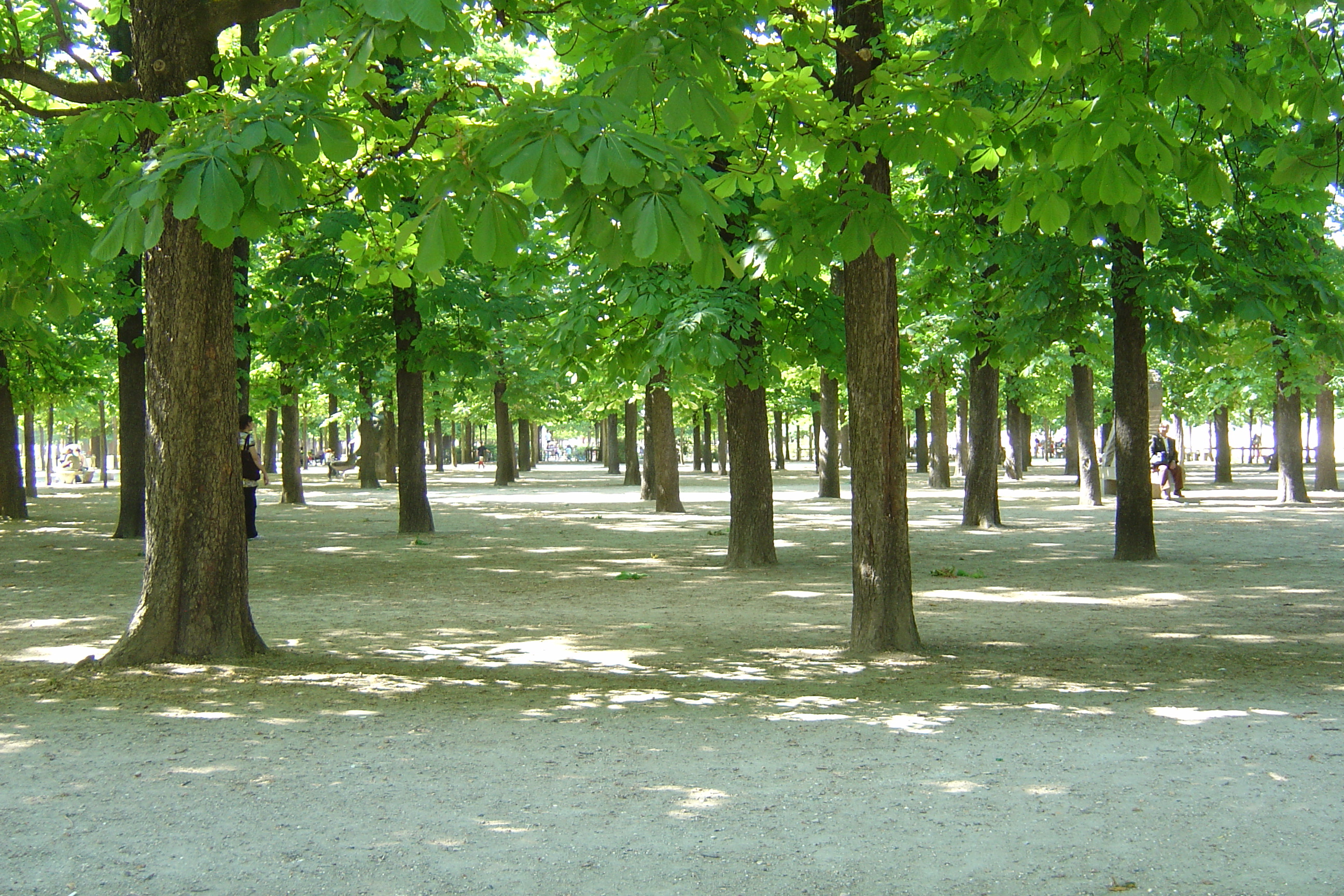 Picture France Paris Garden of Tuileries 2007-05 383 - Center Garden of Tuileries