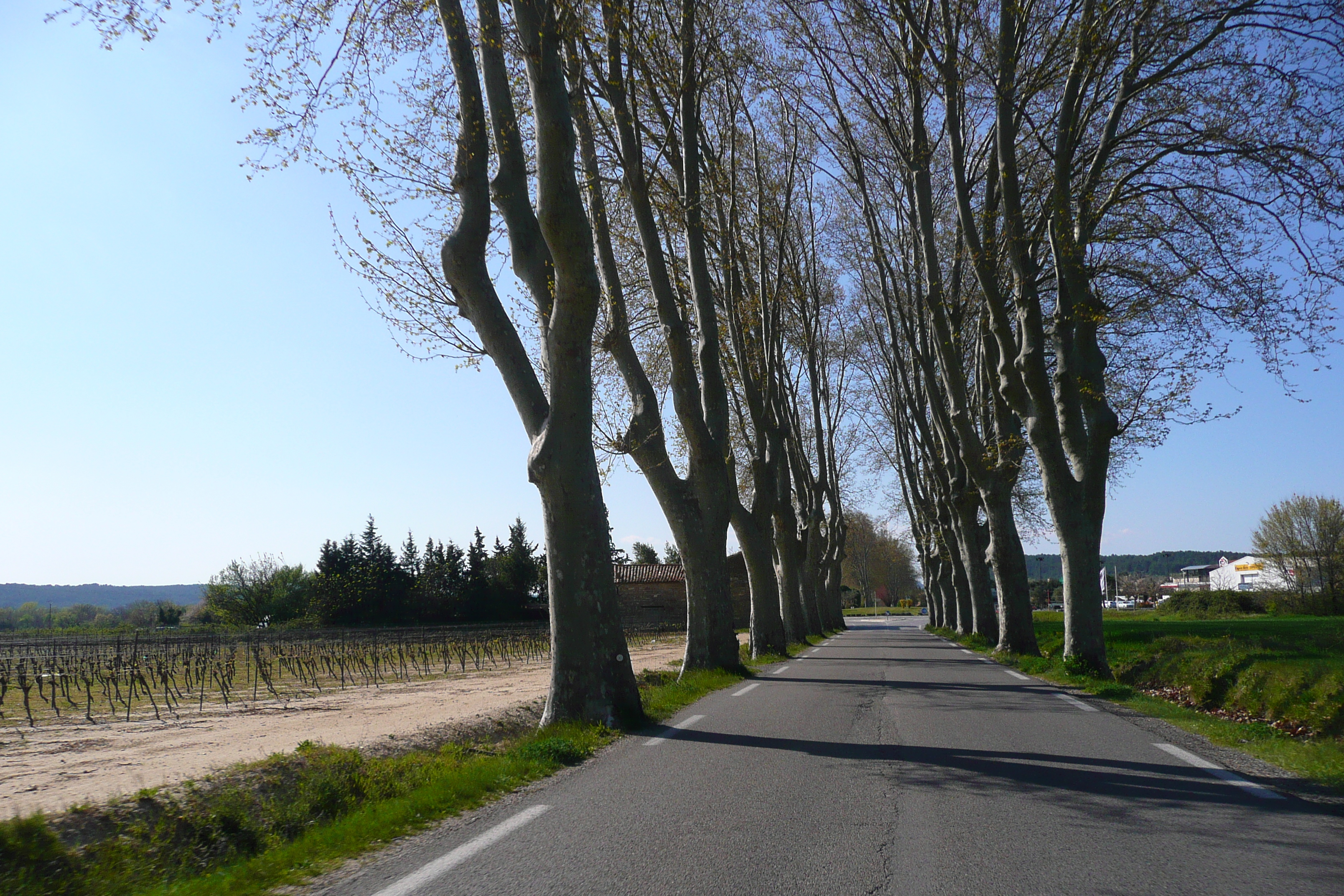 Picture France Provence road to Ales 2008-04 10 - Recreation road to Ales