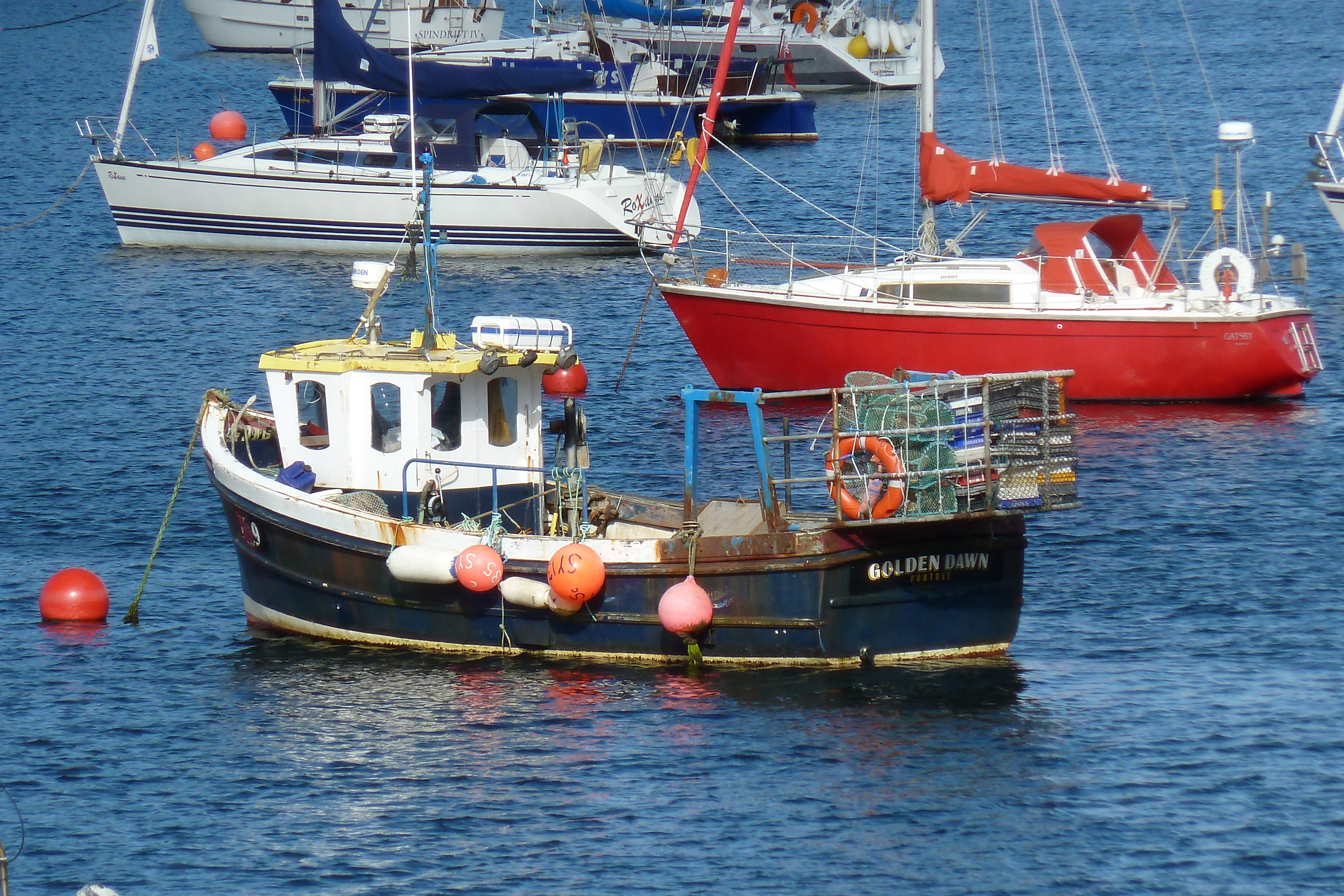 Picture United Kingdom Skye Portree 2011-07 35 - Discovery Portree