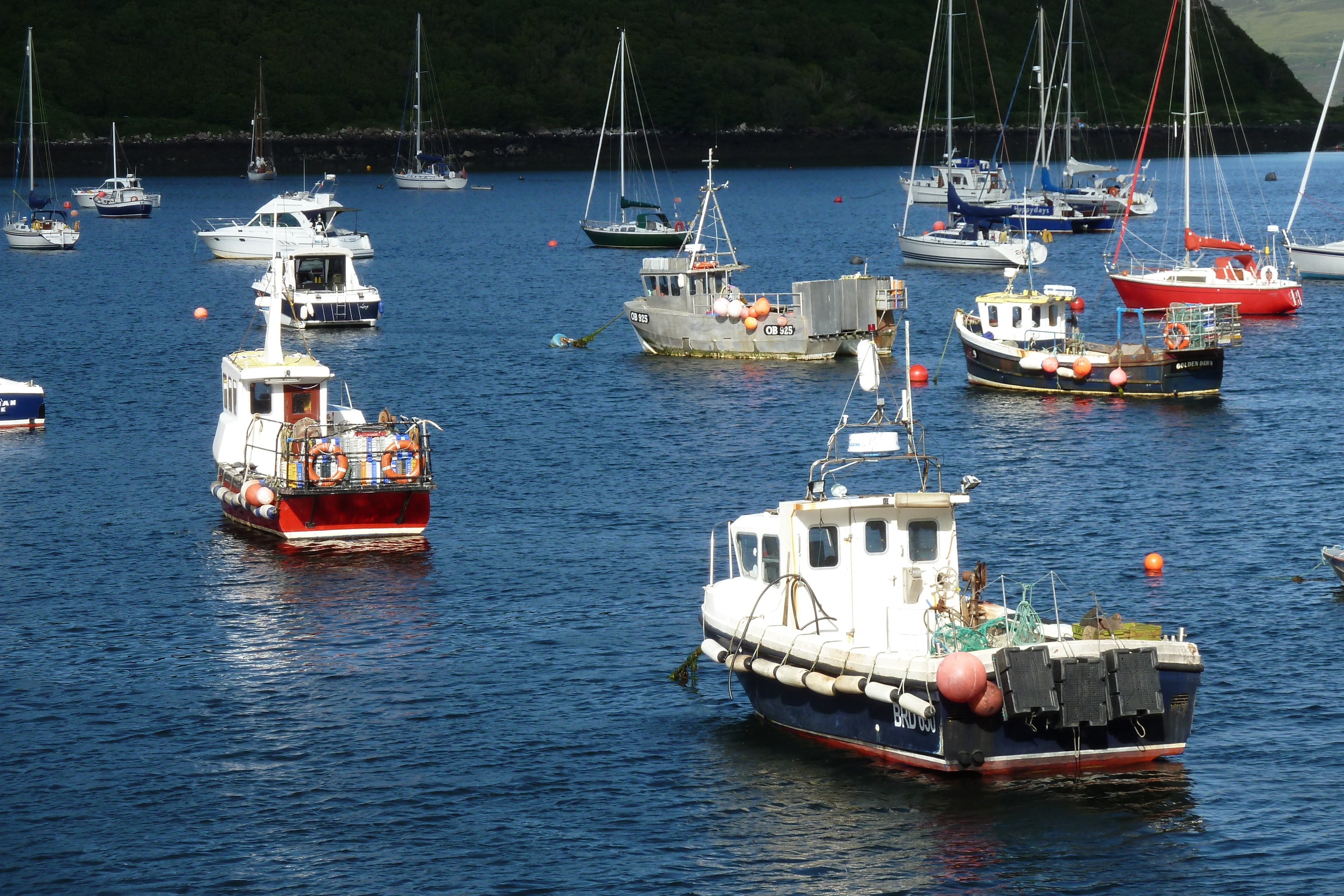 Picture United Kingdom Skye Portree 2011-07 34 - Tours Portree