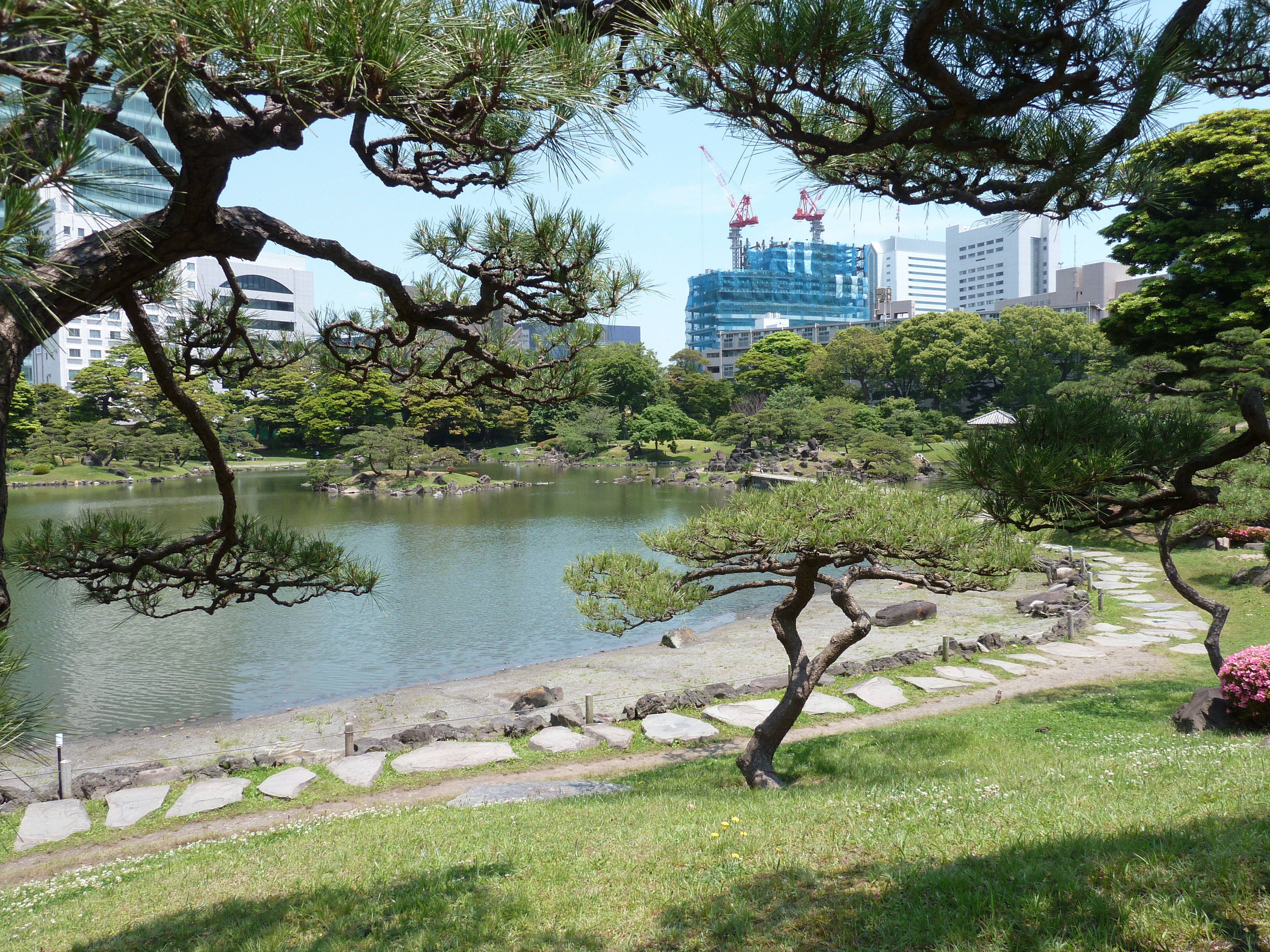 Picture Japan Tokyo Kyu Shiba rikyu Gardens 2010-06 49 - Tours Kyu Shiba rikyu Gardens