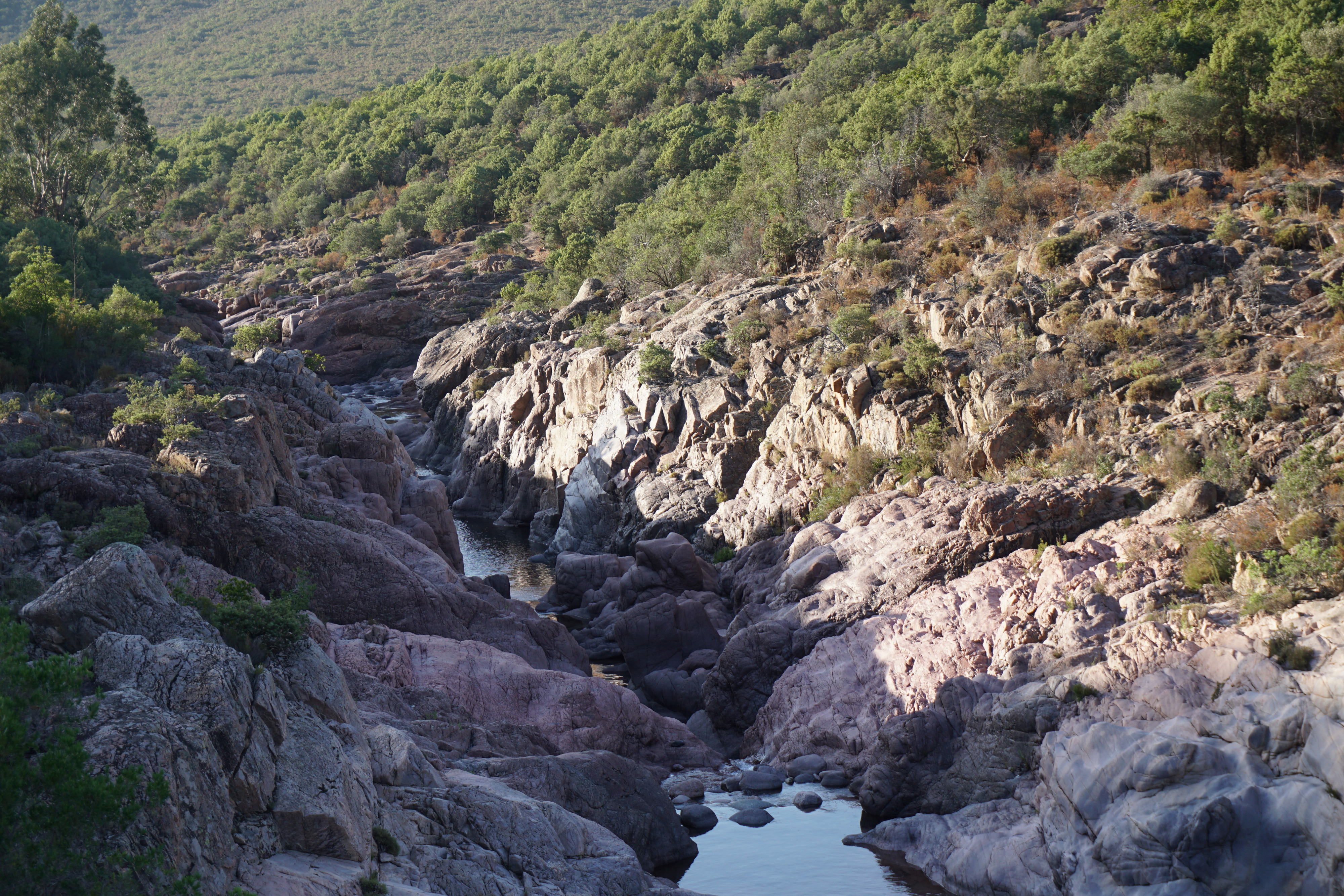 Picture France Corsica Fango river 2017-07 8 - Tours Fango river