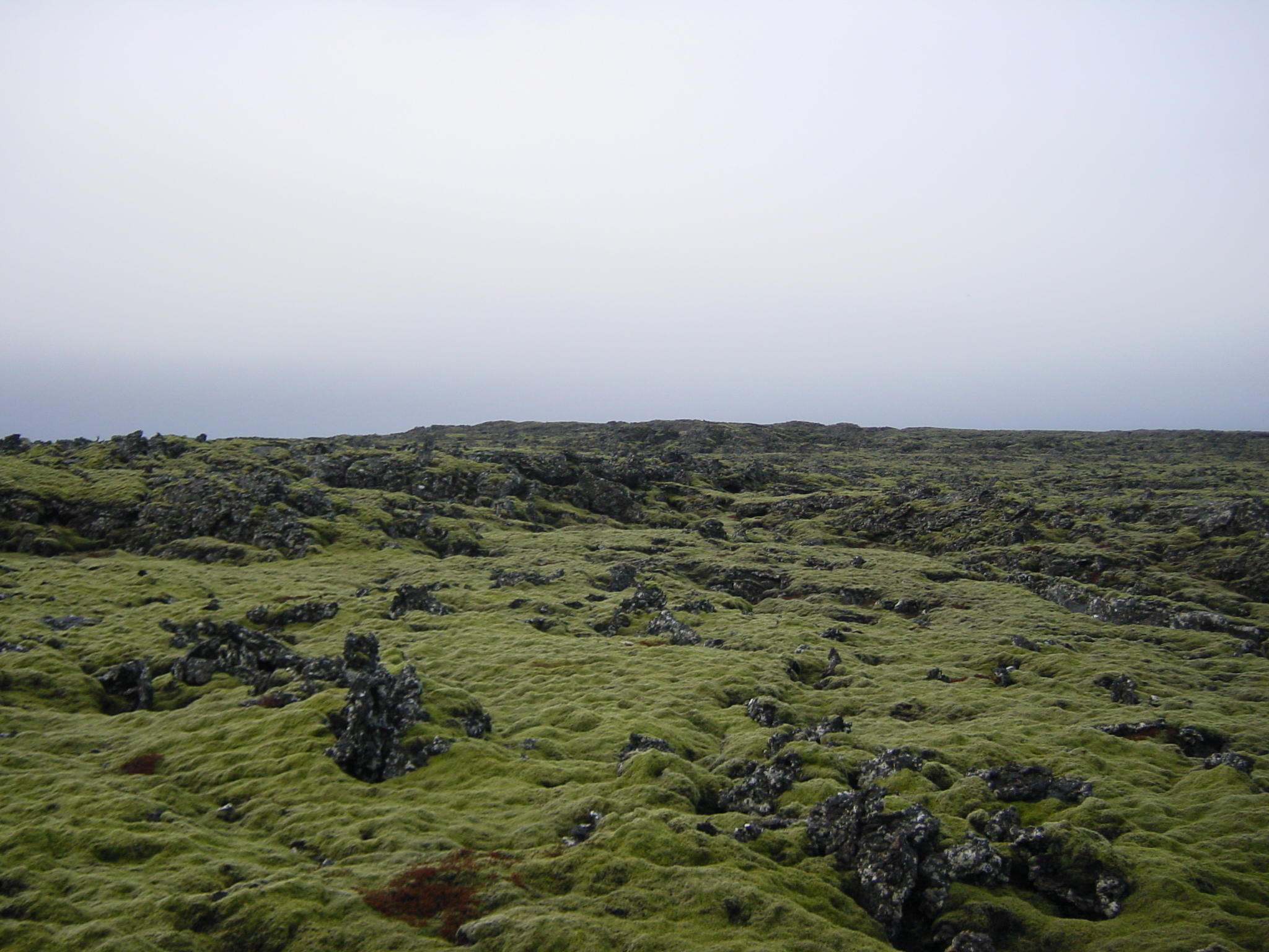 Picture Iceland Reykjanes 2003-03 23 - Around Reykjanes