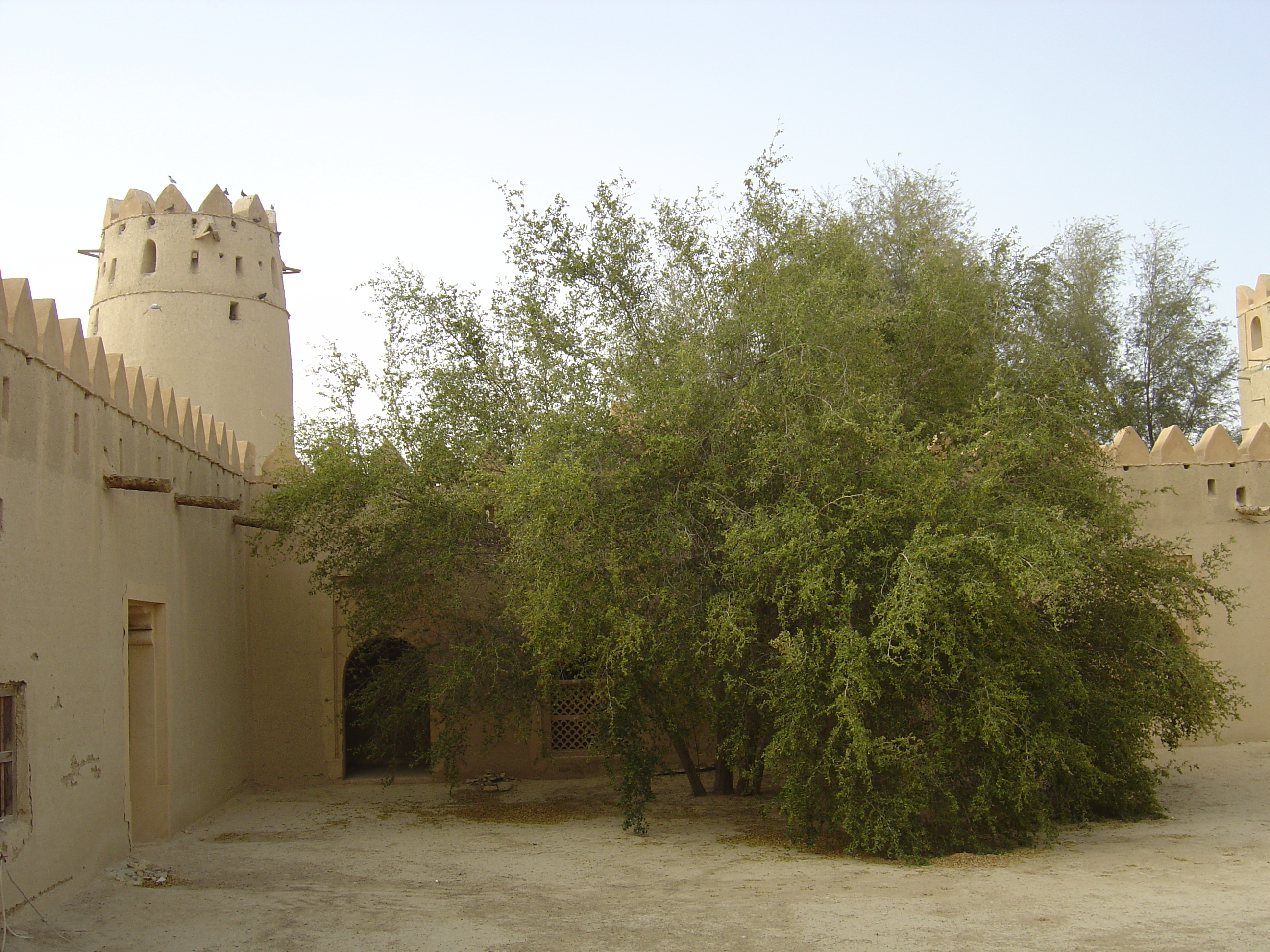 Picture United Arab Emirates Al Ain Jahli Fort 2005-03 7 - Recreation Jahli Fort