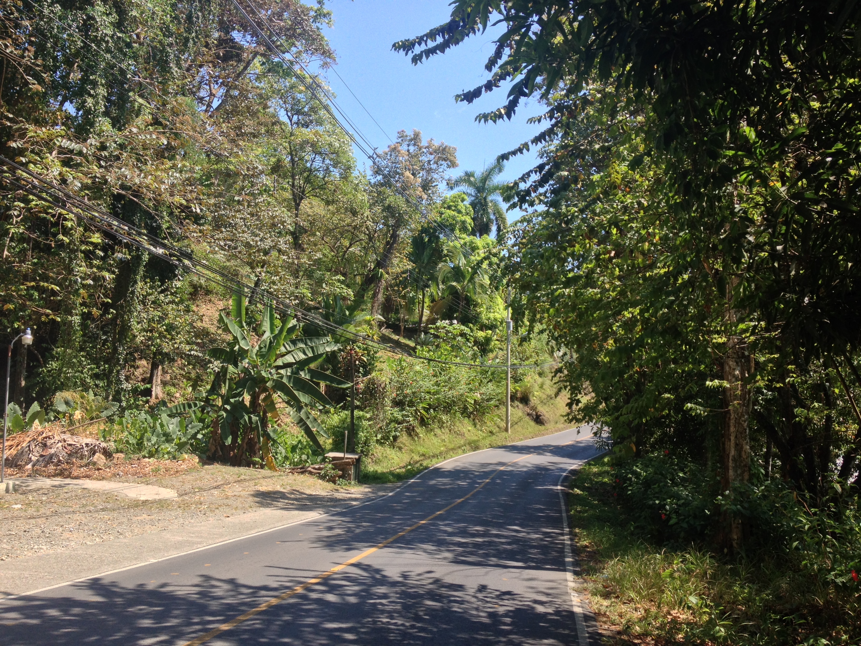 Picture Costa Rica Manuel Antonio 2015-03 150 - Tour Manuel Antonio