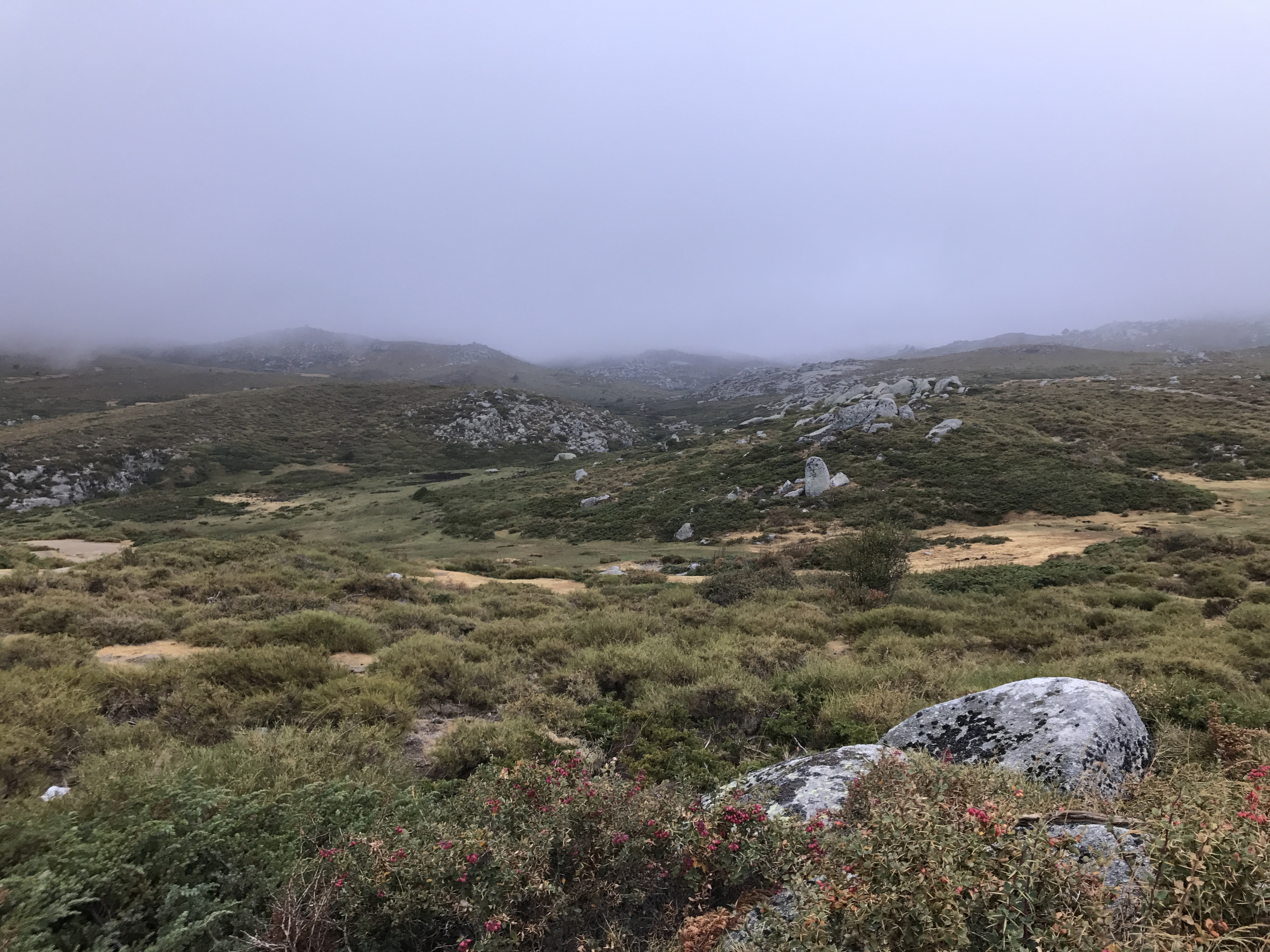 Picture France Corsica Alta Rocca 2017-09 3 - Tours Alta Rocca