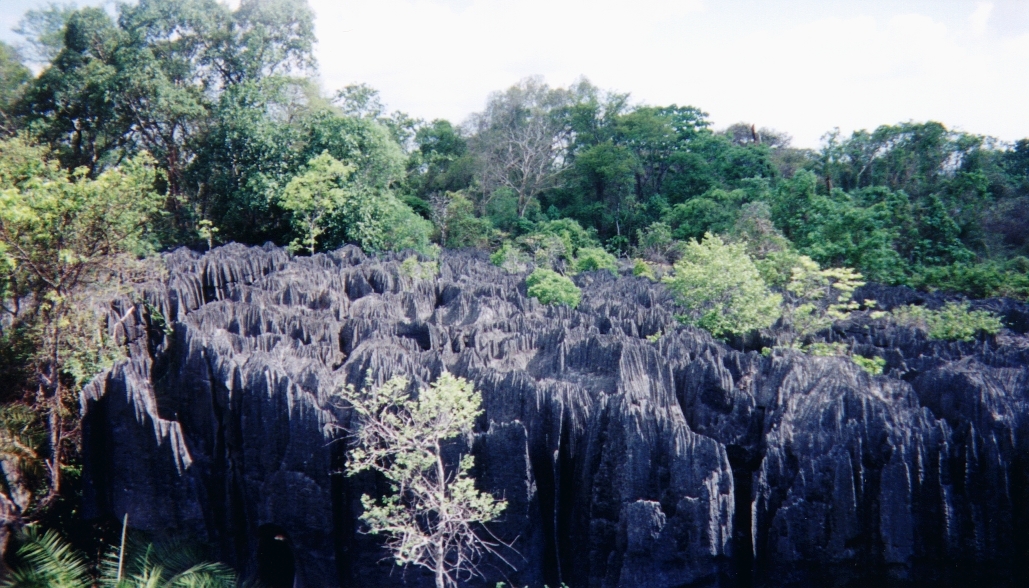 Picture Madagascar Tsingy 1999-10 2 - Tour Tsingy