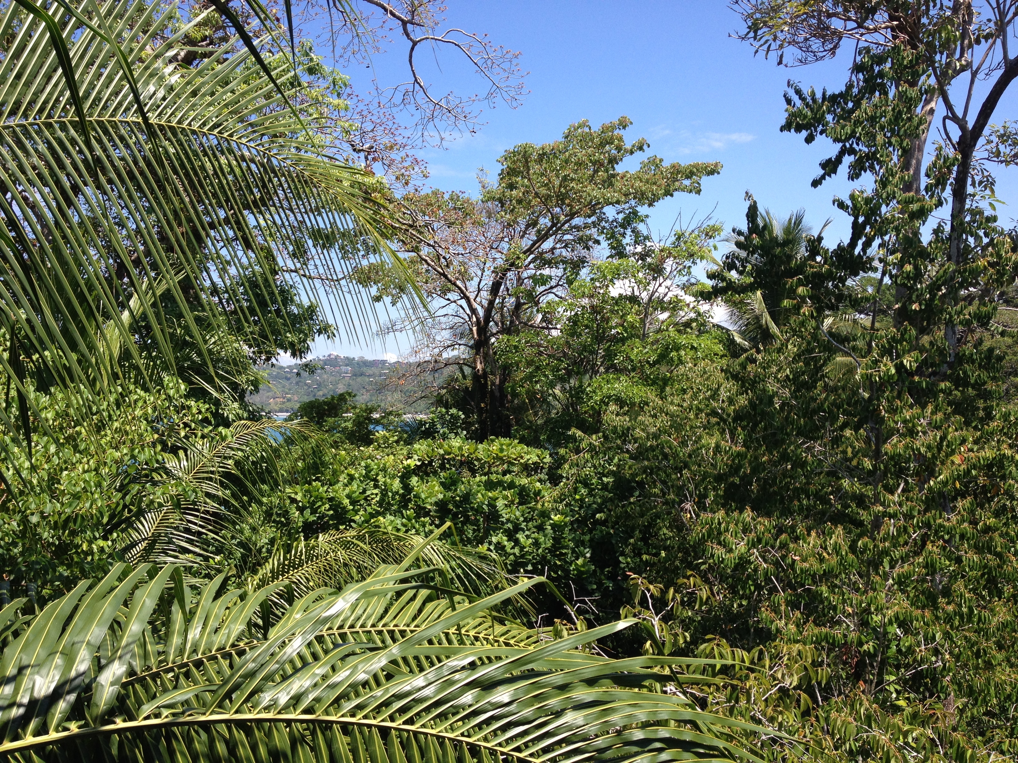 Picture Costa Rica Manuel Antonio 2015-03 213 - History Manuel Antonio