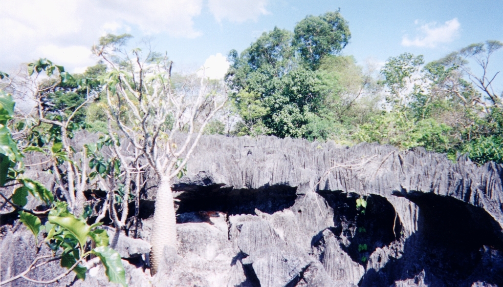 Picture Madagascar Tsingy 1999-10 6 - Discovery Tsingy